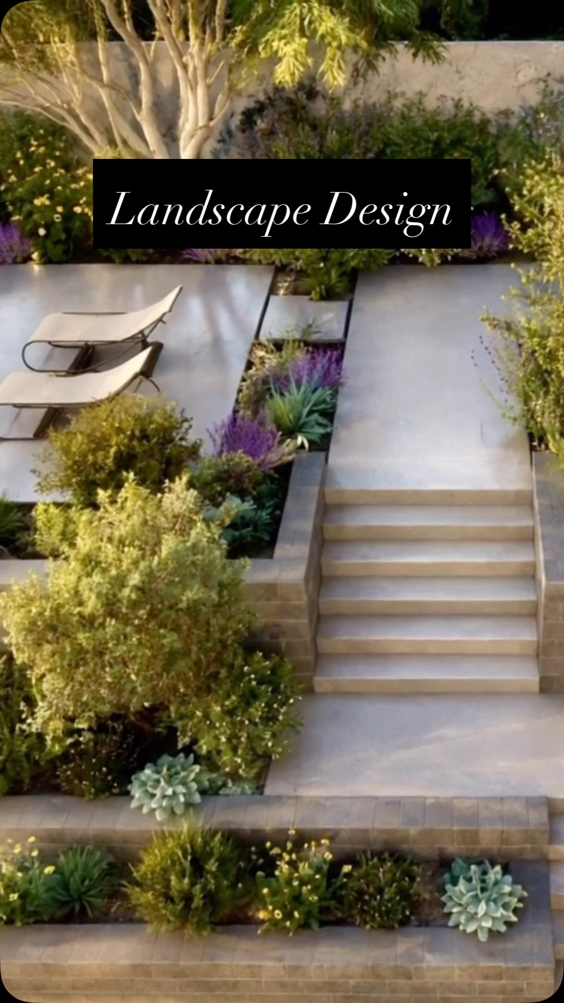 Landscape is part of the Architecture. Featuring one of our Palisades fire rebuilds, The C-Shell House.
#architecture #residentialarchitecture #landscapearchitecture