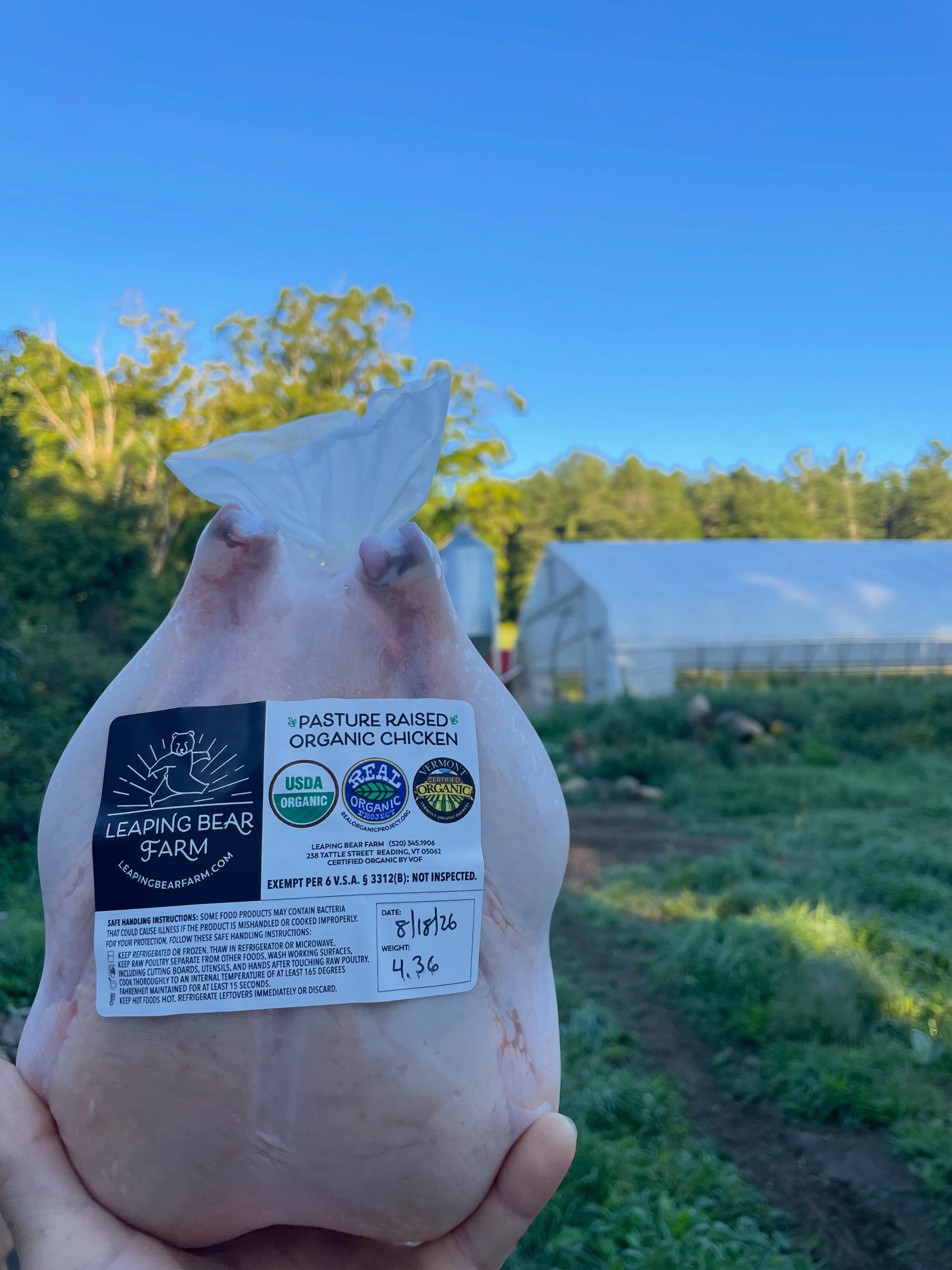 Woodstock, we have a treat for you today!
It’s #freshchicken day at the market 😃
Come find us @marketonthegreenvt in @woodstockvt, (next to the mushroom guy) from 3-6pm, with our Fresh Chicken Today sign and freshly processed whole birds!
We ended up processing on the farm a little “overflow” group from our last batch, and we wanted to time it so we could bring the freshest-chicken-you-can-get to our Woodstock community. 🤩 We’ve got dinner covered for you!
We have really enjoyed being at this market this season. Thank you to everyone who has supported us and made us feel welcome here. Moving to a brand new area has its perks, and it’s getting to meet new wonderful people. You can always find them at the farmers markets!
We will also have enough for our markets this weekend, too! 😉 There’s plenty to go around.