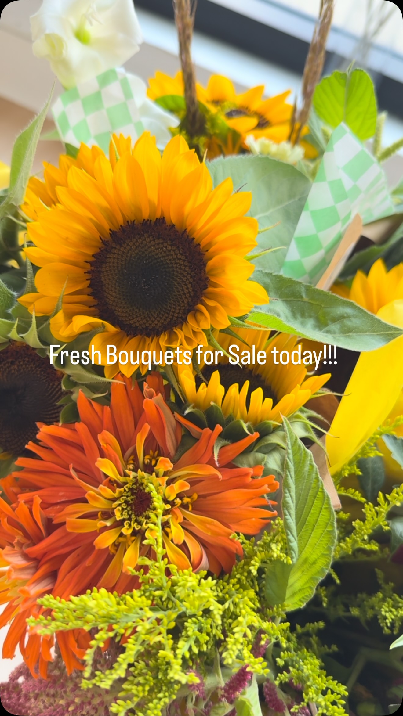 We have these beautiful flowers for sale from @three.seeds.flower.co !! Stop in before 2pm!!