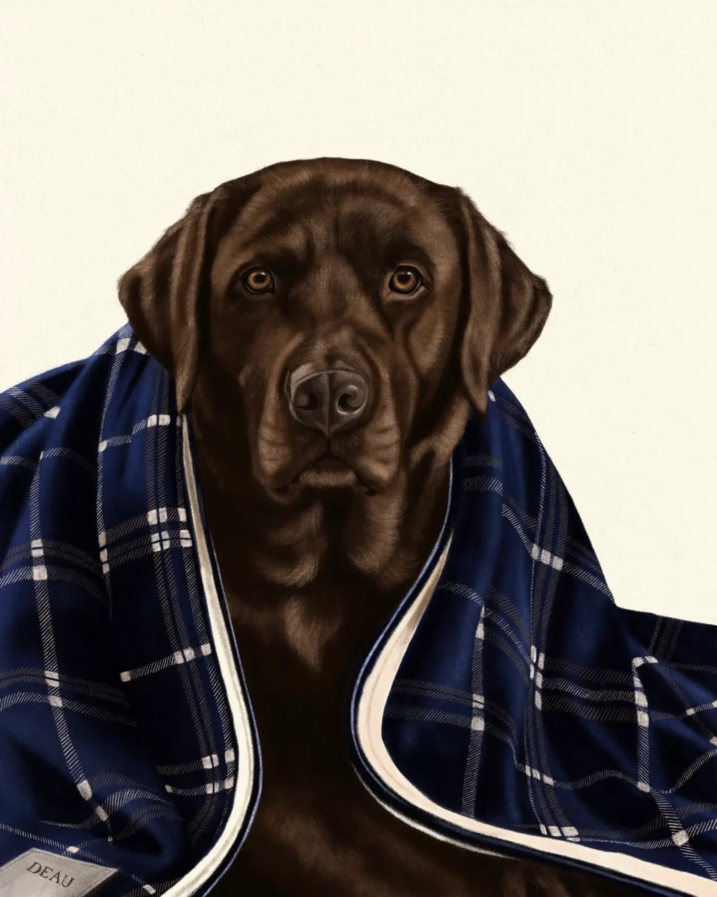 Just a chocolate labrador and his navy tartan plaid in an English heritage style! ✓ Who’s also ready for the cozy season?🍂🍄🍁
50x40 cm | Good Boy collection
.
.
.
#labradors #labradorlovers #britishstyle #jachthond #englishheritage