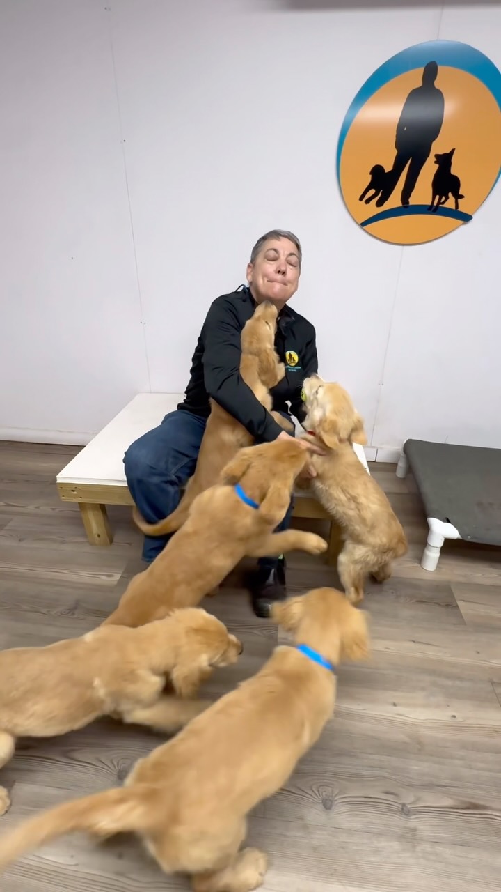 Que si nuestro programa de perros de Servicio está creciendo? Y lo que falta. Pero esto no lo hacemos solos. Esto es un proyecto de comunidad. Sabemos que vamos a necesitar de tu apoyo. Síguenos para que puedas ser partícipe de este gran proyecto. #perrosdeservicio #servicedogs #community #comunidad