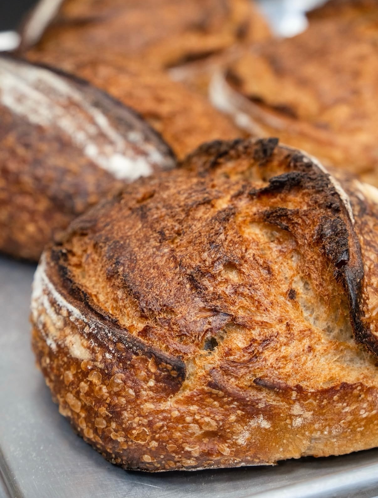 P.S. everything is sourdough
our bread, your moment.