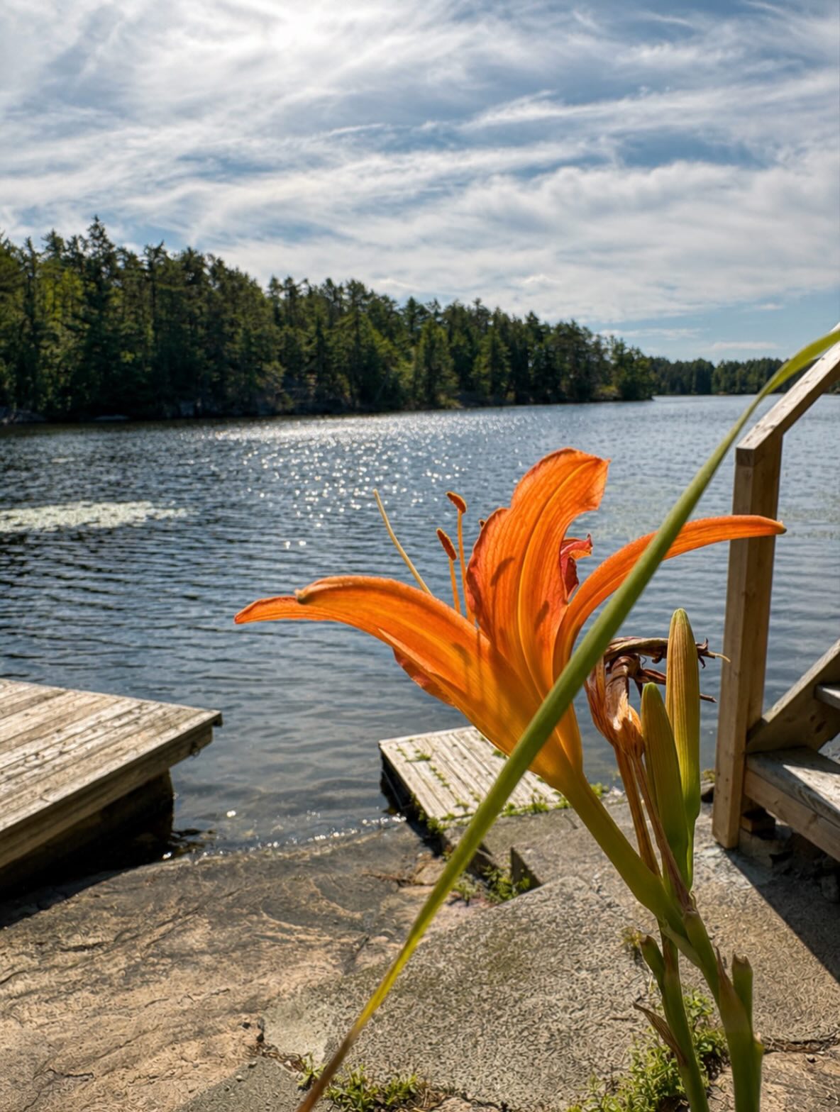 These are the days we wait all winter for. Just locking them in 💭 ☀️ 🌊
📍Lake Nipissing
🌲Northern Lake House
#cottagesincanada #lakefrontairbnb #summervibes #ontariocanada #northernlakehouse