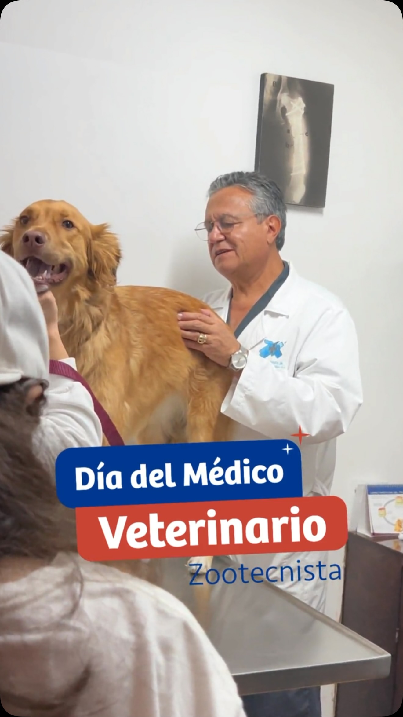 El Día del Médico Veterinario Zootecnista no se celebra solo hoy.
En Hospital Bruselas, su vocación se reconoce todos los días🐶🐈🫶🏼
Porque detrás de cada diagnóstico, cada cirugía y cada recuperación...
Hay una pasión inquebrantable por la vida🌟
Gracias por dedicar su talento a cuidar de quienes no pueden decir con palabras lo que sienten
Gracias por su entrega infinita 🫂🩺
#hospitalveterinariobruselas #cuidadoanimal #veterinaria #diadelveterinario #cdmx