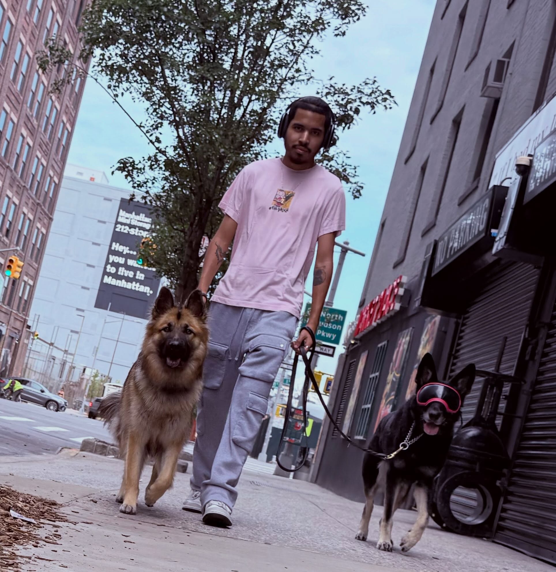 The coolest trios of Hellโs Kitchen ๐๐ช๐ป๐พ
#dogsofallboroughs #germanshepherdofinstagram #dogsofhellskitchen #dogwalkingservices #gsdโค๏ธ
