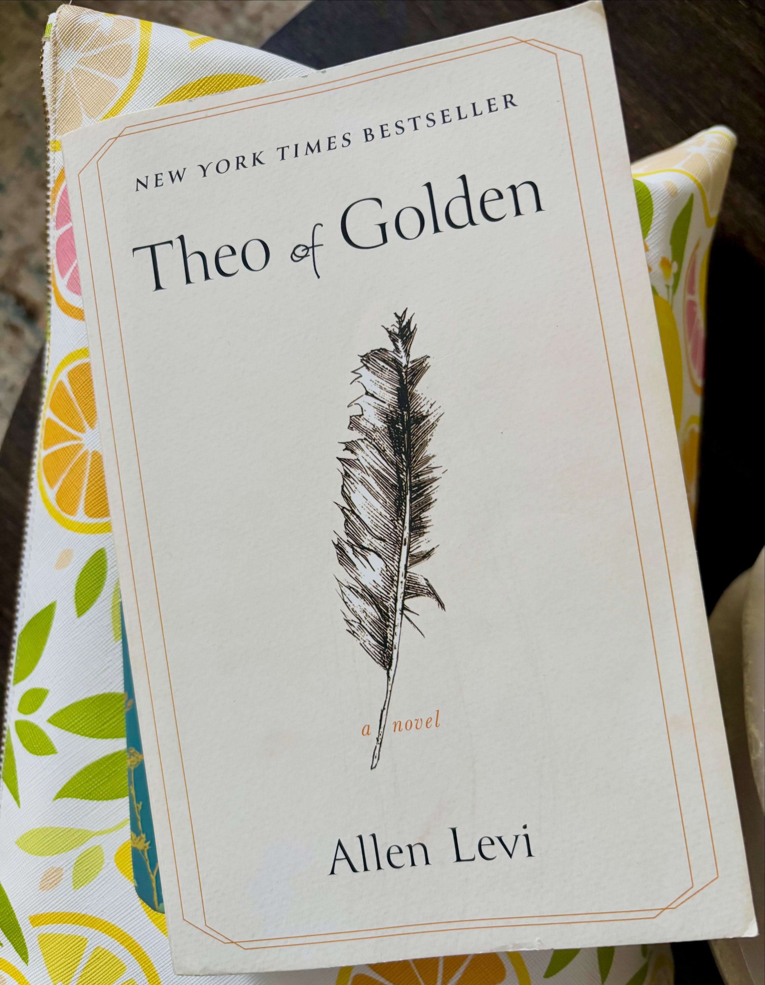 Recently I got to read Theo of Golden by @allenlevi. It might not be an obvious Christian book (although Amazon has it listed as Christian literary fiction), it shows you what living out the gospel (Matthew 25 specifically comes to mind) without ever having to quote a Bible verse. Theo, the main character, has Christ-like characteristics that will make you smile.
With each character, the story reveals just how overlooked some people can be, and how a stranger can truly make them feel seen and valued. In the midst of the brokenness of each one’s humanity, hope enters the pages.
The book leaves you wanting to be a bit more generous, curious, and aware of the souls you encounter.
I believe that a good fictional book can leave you a little softer, kinder, tender, and open your eyes to a new world by the end of it. And by those standards, Theo of Golden is a marvelous book!
#theoofgolden