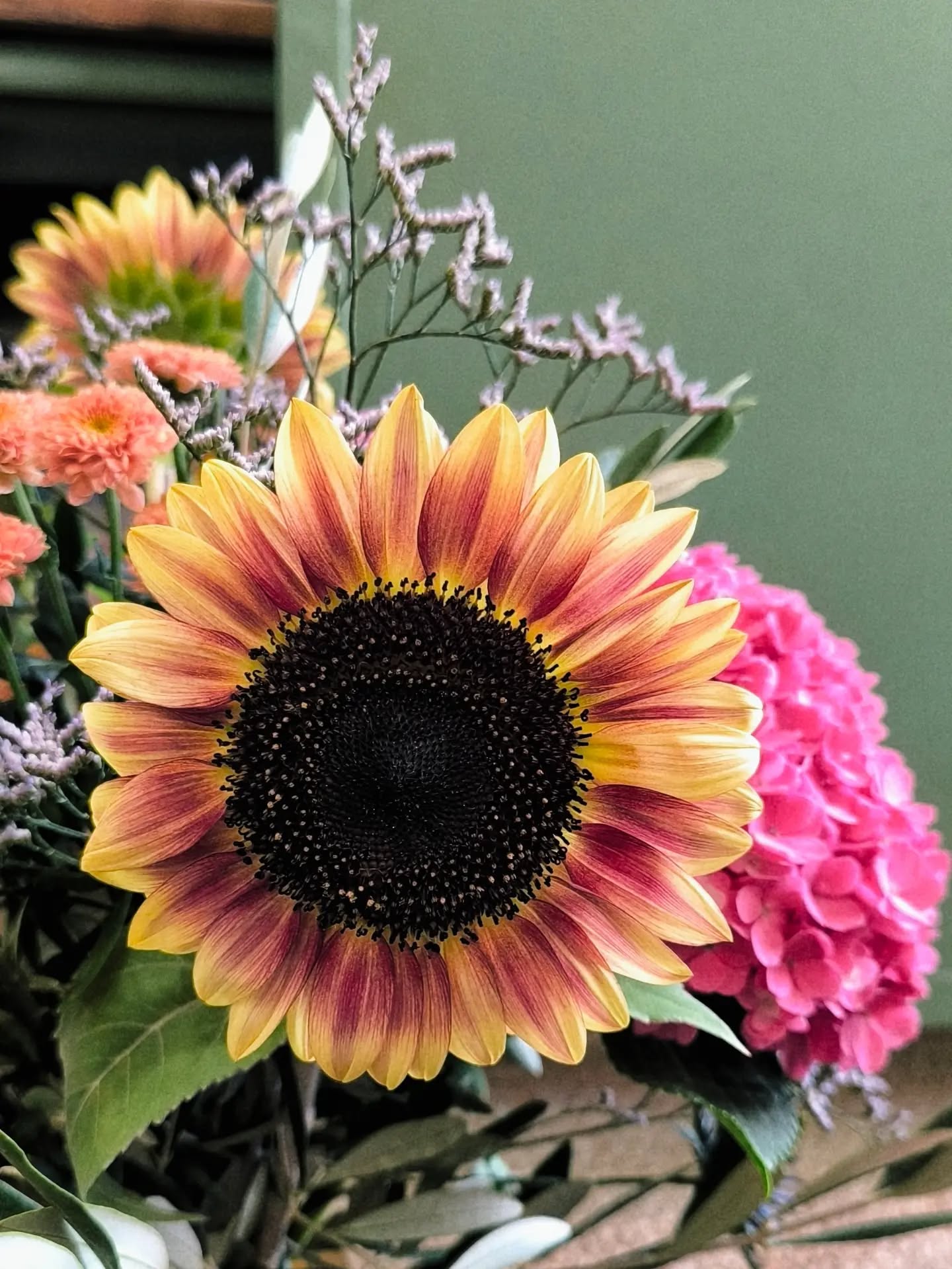 Le Jardin de Lucette est de retour !
》Le Jardin de Lucette, Artisanes Fleuristes, 34 rue de la Concorde, 31000 Toulouse, du mardi au dimanche.