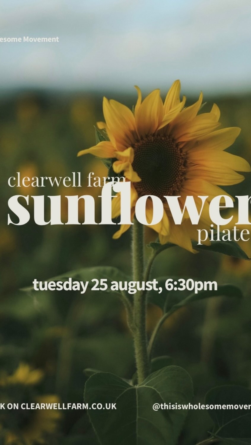 @thisiswholesomemovement is back at Clearwell Farm tomorrow night for a sunset Pilates class!
Get your tickets at clearwellfarm.co.uk 💛
#cardiff #southwales #thingstodoincardiff #sunflowerfestival #explore