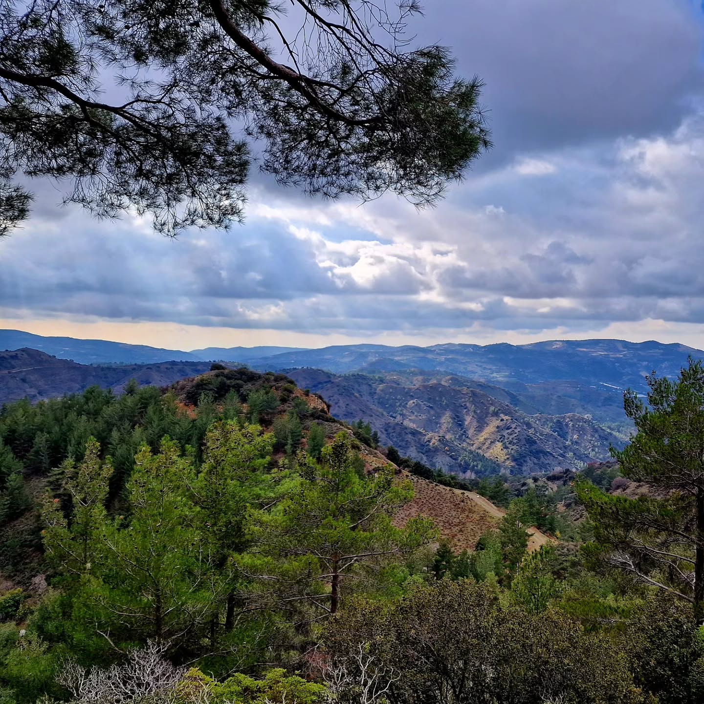 Every moment becomes a little more magical when we slow down and notice. 💫
.
.
.
#ThroughMyEyes #DiscoverCyprus #Foini