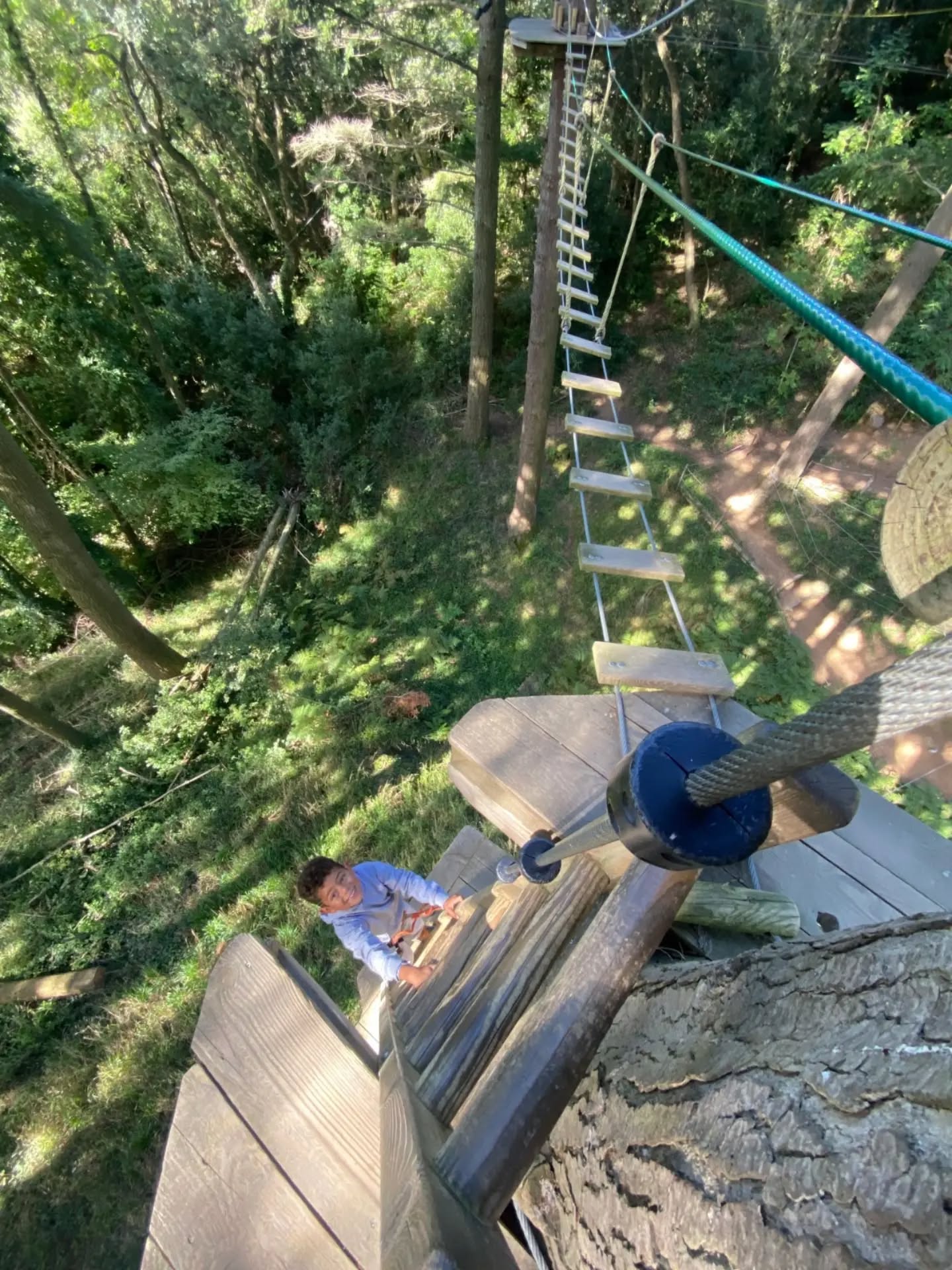 Viu els nostres Circuits Acrobàtics i supera cada repte! 💚
#LaSelvaDeLAventura #CircuitsAcrobatics #Aventura #Natura #Diversió