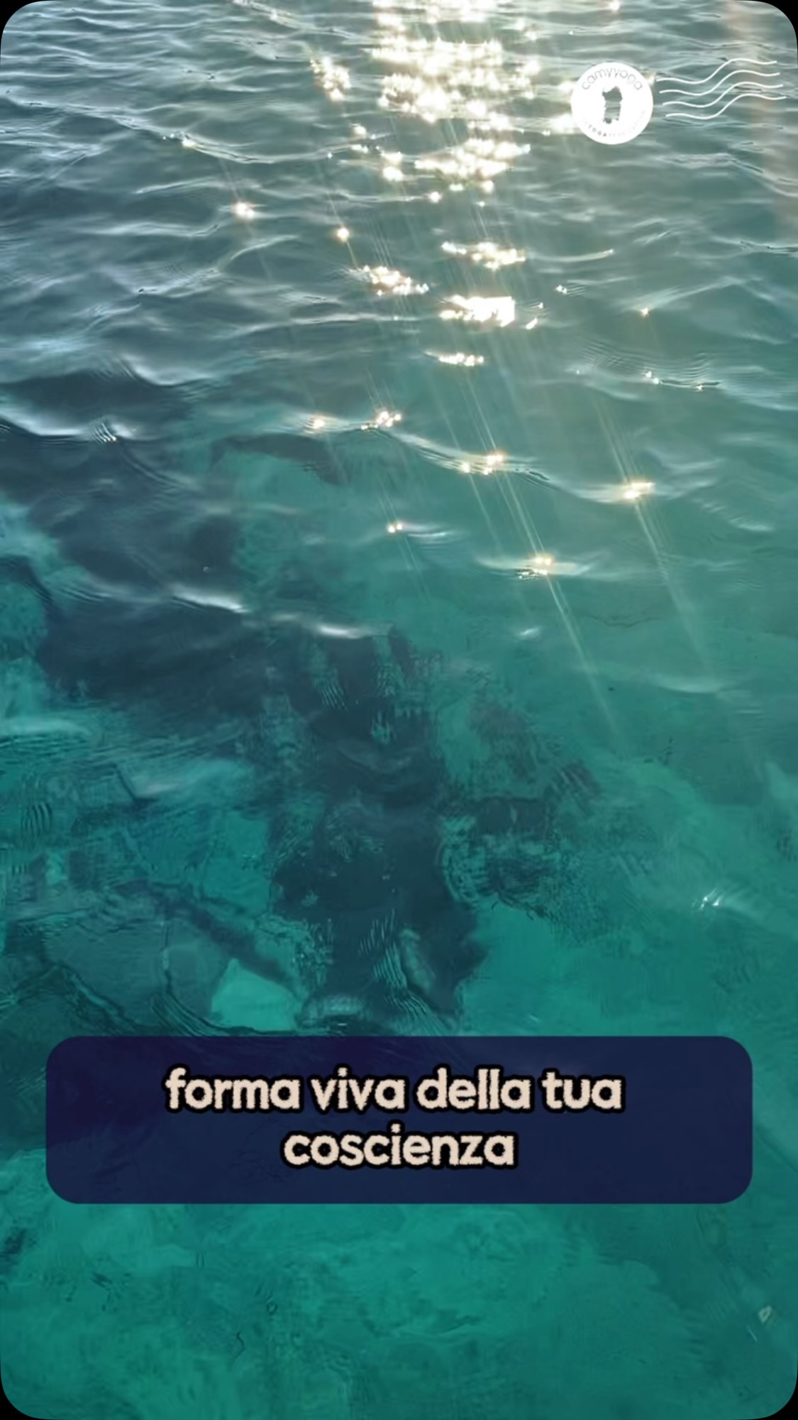 MEDITAZIONI SONORE alla Torre di Longonsardo 🌊
Sabato 22 agosto ore 19:00
con Mario Uda e Camilla Pusateri
In collaborazione con @cooltourgallura
e il patrocinio del Comune di Santa Teresa di Gallura, Santa Teresa Turismo, Ministero per i Beni e la Attività Culturali.
Scrivi per info e prenotazioni, posti limitati