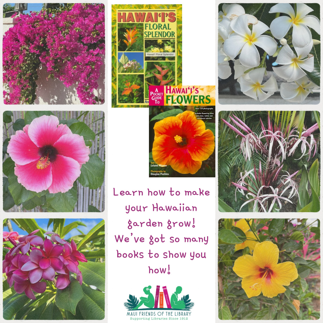 Hawaiian flowers bring color, fragrance, and a little bit of island magic wherever they bloom. 🌺🌴
From brilliant hibiscus and delicate plumeria to fragrant pikake and colorful orchids, Hawaiʻi’s flowers are part of what makes our islands so special. Many are woven into lei, shared in celebrations, or simply enjoyed in our gardens and along the roadside.
Want to learn more? Maui Friends of the Library has a multitude of books on the lovely flowers of Hawaii.📚Stop in today!
Locations:
Kihei at 95 E Lipoa
Kahului at Queen Ka’ahumanu Center
Pu’unene at East Camp 5 Rd
Help us out! Every time you LIKE, SHARE and FOLLOW us on Facebook and Instagram it spreads the word in our community about our mission to improve literacy on Maui.
#MauiFriendsoftheLibrary #MFOL #MauiBooks #MauiBookstore #UsedBooks #SupportLocalMaui #HawaiianFlowers #Maui #Aloha #IslandLife #HawaiiBlooms #TropicalFlowers