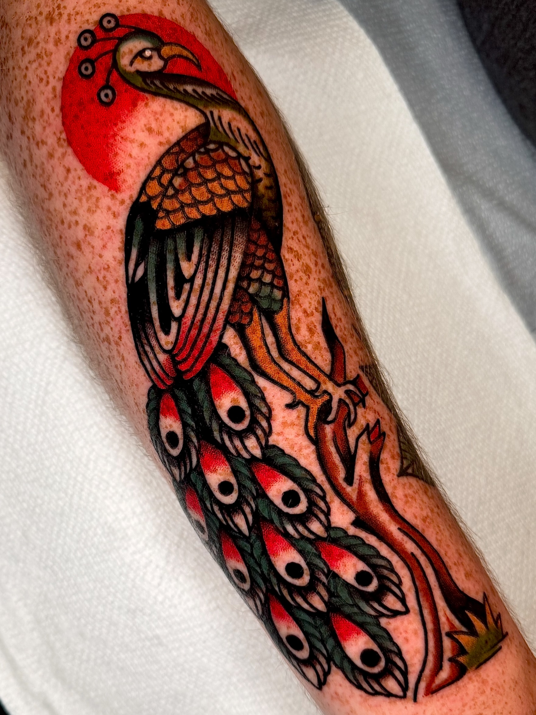 Peacock. Done @travelertattoo_asheville #asheville #ashevilletattoo #ashevilletattooartist #nctattoo #northcarolinatattoo