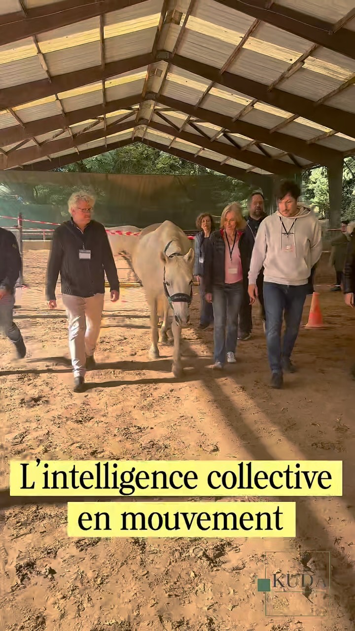 Et si avancer ensemble commençait par apprendre à trouver un rythme commun ?
Lors de cet atelier d’équicoaching, les participants doivent guider le cheval collectivement à travers un parcours.
Pour réussir, impossible d’agir chacun de son côté : il faut observer, communiquer, ajuster sa place et rester attentif aux autres.
Le cheval rend immédiatement visibles les fonctionnements du groupe. Il invite chacun à réfléchir à sa posture et permet à l’équipe d’expérimenter concrètement la coopération.
Un atelier vivant pour faire émerger l’intelligence collective… en mouvement !
#Équicoaching #CohésionDéquipe #IntelligenceCollective #Coopération #TravailDéquipe SéminaireEntreprise FormationProfessionnelle KUDA