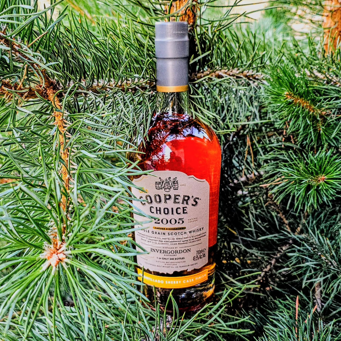 Today we take a trip up to the Northern parts of Scotland and visit the northernmost single grain distillery at Invergordon.
Located in an area rich in single malts like Dalmore, Balblair, Teaninich, Glenmorangie and Glen Ord among others, this is a standout single grain producer that specializes in maize and also wheat based single grain distillate.
This one from the Cooper's Choice line from @vintagemaltwhisky is extra cool. 19 years old and matured in American oak that held bourbon forst, then finished in an Amontillado Sherry cask, this is so damn good.
Ballancing the maize distillate with the ex bourbon maturation shows lovely notes of honey dusty grain notes with sweet vanilla and then the Amontillado comes through with earthy spice notes and some dark fruits and nutty oak spice.
I love this one. No surprise from Cooper's Choice though.
.
.
.
.
.
#whisky #singlegrain #invergordon #facts #review