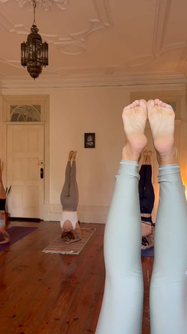 Back to practice 🤍
The shala reopens tomorrow, Monday, August 24th, and regular classes are back.
Looking forward to seeing everyone again, sharing the room and getting back into the rhythm of practice.
See you on the mat ✨
#ashtangayoga #yogaporto #ashtangayogaporto #yogaportugal #ashtangacommunity