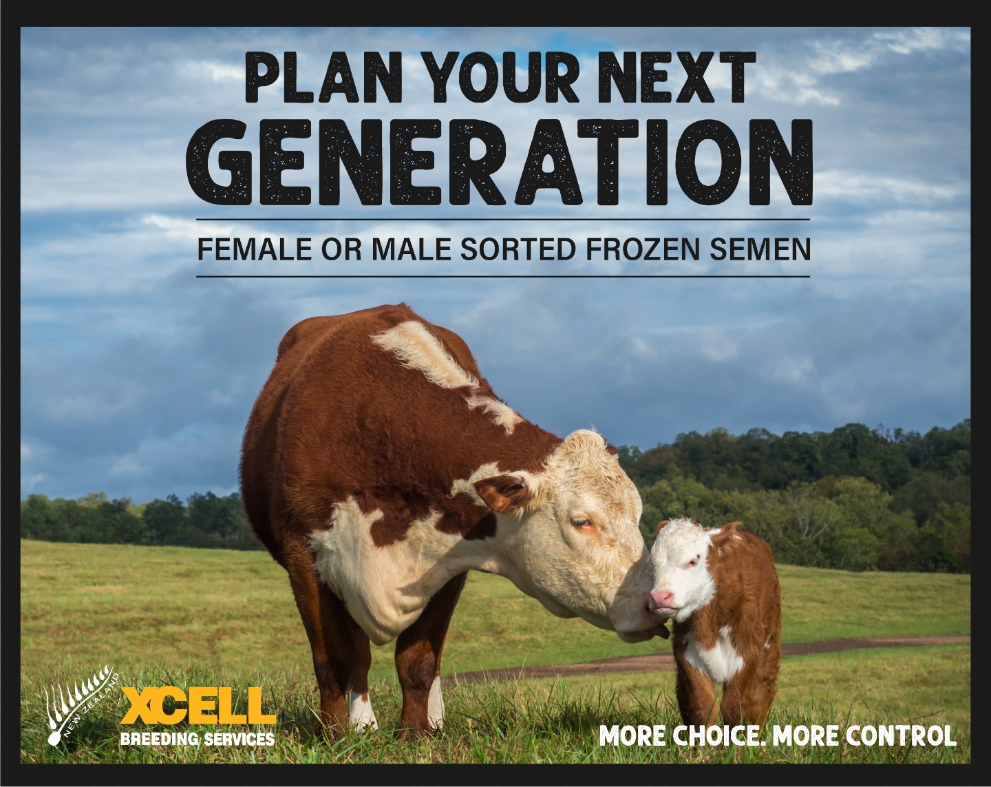PLAN YOUR NEXT GENERATION
Xcell is running another round of sexed semen slots this September, giving you the opportunity to select female or male sorted frozen semen to suit your breeding programme and future herd goals.
Whether you're looking to build your replacement heifers or increase your number of male calves, sexed semen gives you another tool to make your genetics work harder for your operation.
Limited number of slots available β get in touch with the Xcell team to secure yours.
π 021 453 387 | π§ info@xcell.co.nz
