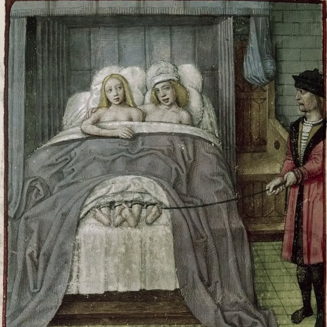 Les amants Vénus et Mars démasqués par Vulcain dans Le roman de la rose, 1490-1500. Londres, British Library, Harley MS 4425.
#medievalmanuscript #medievalart #mythology #medieval