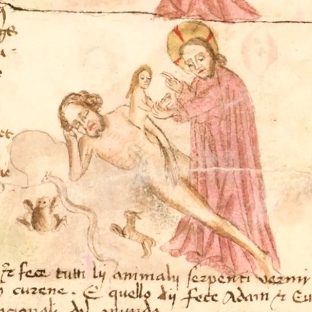Adam et Ève. Munich, Bayerische Staatsbibliothek, Cgm 426.
#medievalmanuscript #paradise #medievalart #medieval