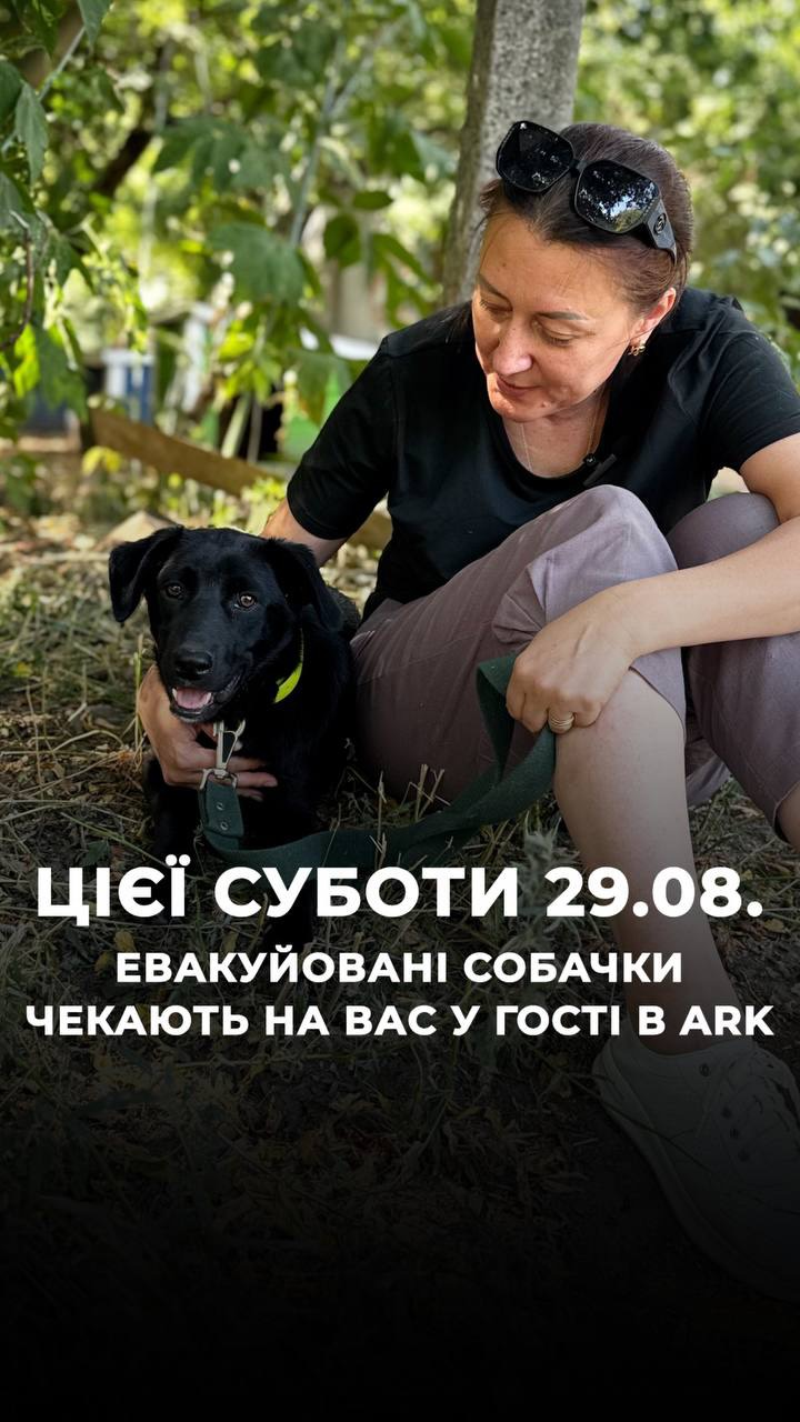 ❗️Увага! Наш День відкритих дверей з евакуйованими песиками відбудеться 30.08 (у неділю)
Цієї неділі, 30.08. запрошуємо вас до евакуйованих песиків в ARK на День відкритих дверей (⬇️ENG)
Можна буде вигуляти песиків, погратися чи просто провести з ними час.
Хто бажає допомогти руками – запрошуємо долучитися до створення будиночків для врятованих песиків для їх швидшої та комфортної адаптації до життя в родині ❤️
І найголовніше – обрати собі Друга серед безлічі відданих оченят
Допомогти і провести час з песиками зараз все частіше приїжджають військові.
«Я з дитинства любив собак, тому приїжджаю, допомагаю. Так треба і проводити свої вихідні дні, з собачками».
Песики будуть вдячні вам за ці подарунки :
- ошийники різних розмірів
- поводки 3-5 метрів
- іграшки гумові
- іграшки з мотузок
Долучитися до вигулу або всиновити собачку:
+380990416703
(WhatsApp / Viber / Telegram)
Долучитися до створення будиночків:
+380502766975
(WhatsApp / Viber / Telegram)
Зробити донат можна за посиланням у біо чи в коментарях 👉
This Saturday, August 29, we invite you to join our rescued dogs at ARK for an Open Day.
You’ll be able to walk the dogs, play with them, or simply spend some time together.
If you’d like to help hands-on, we invite you to join us in building dog houses for our rescued dogs, helping them adapt to family life more quickly and comfortably. ❤️
And most importantly — choose a Friend of your own among all those devoted eyes. 🐾
More and more military personnel are now coming to help and spend time with the dogs.
“I’ve loved dogs since I was a child