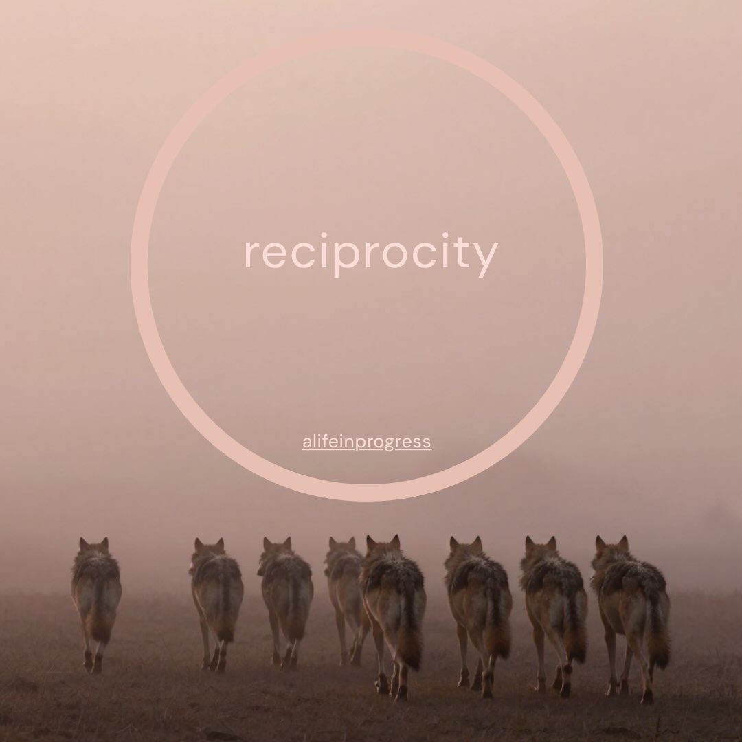 New blog post #reciprocity #alifeinprogressblog