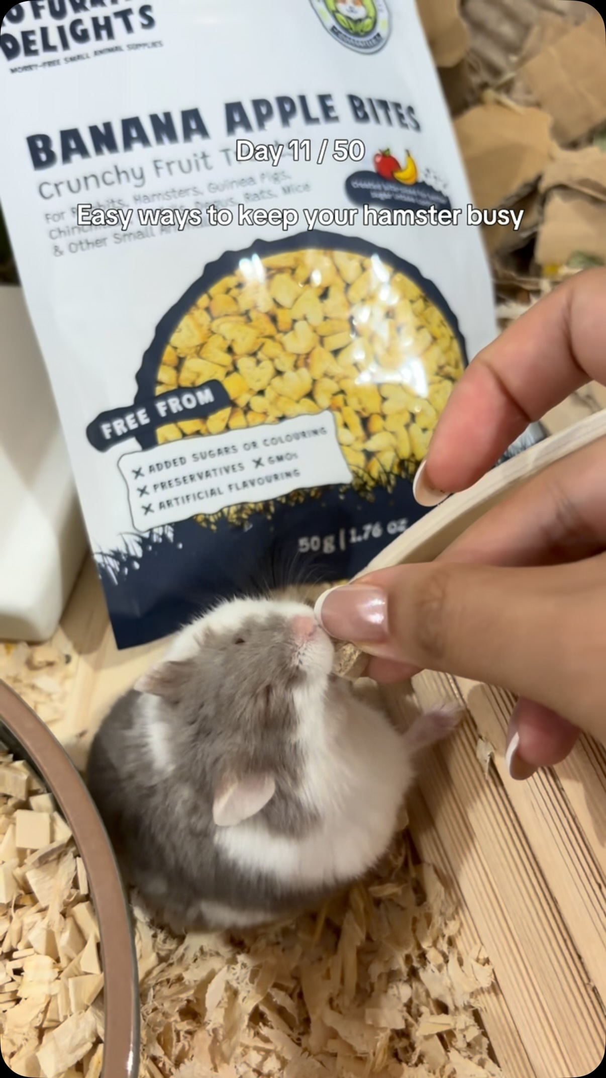 Love watching him eat the sprays 🤗🤭!
#petsofinstagram #smallanimals #hamstagram #hamsterlove #dwarfhamster
