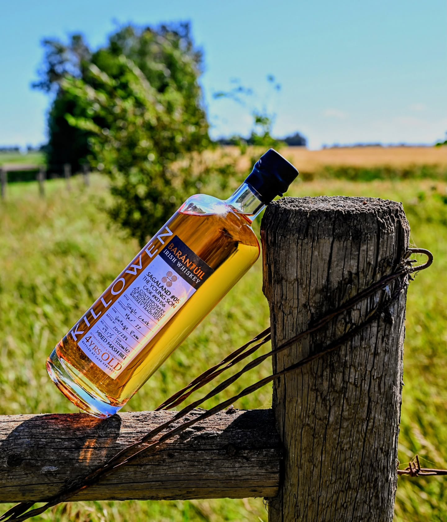 When distilleries do limited edition series outside of their regular releases, they can be truly special
@killowendistillery has done just that with their Sagaland series.
This is the 5th release in the lineup so fsr. And what makes these so cool is they partner with Irish Mythology podcast and @francisleavey to come up with the stories and illustrations in the pamphlet included with each release. All releases are named after a specific story in Irish Mythology while the pamphlets, like every Killowen release, come with all the information on mashbill (measured in sacks like they did in history) as well as the methods of production and casks used
To mark the new series they also offered handmade leather book covers that each insert fits into to keep them all together.
Gosh darn I love Killowen and the Sagaland series has only cemented it even more.
.
.
.
.
.
#irishwhiskey #mythology #story #whiskey #awesome