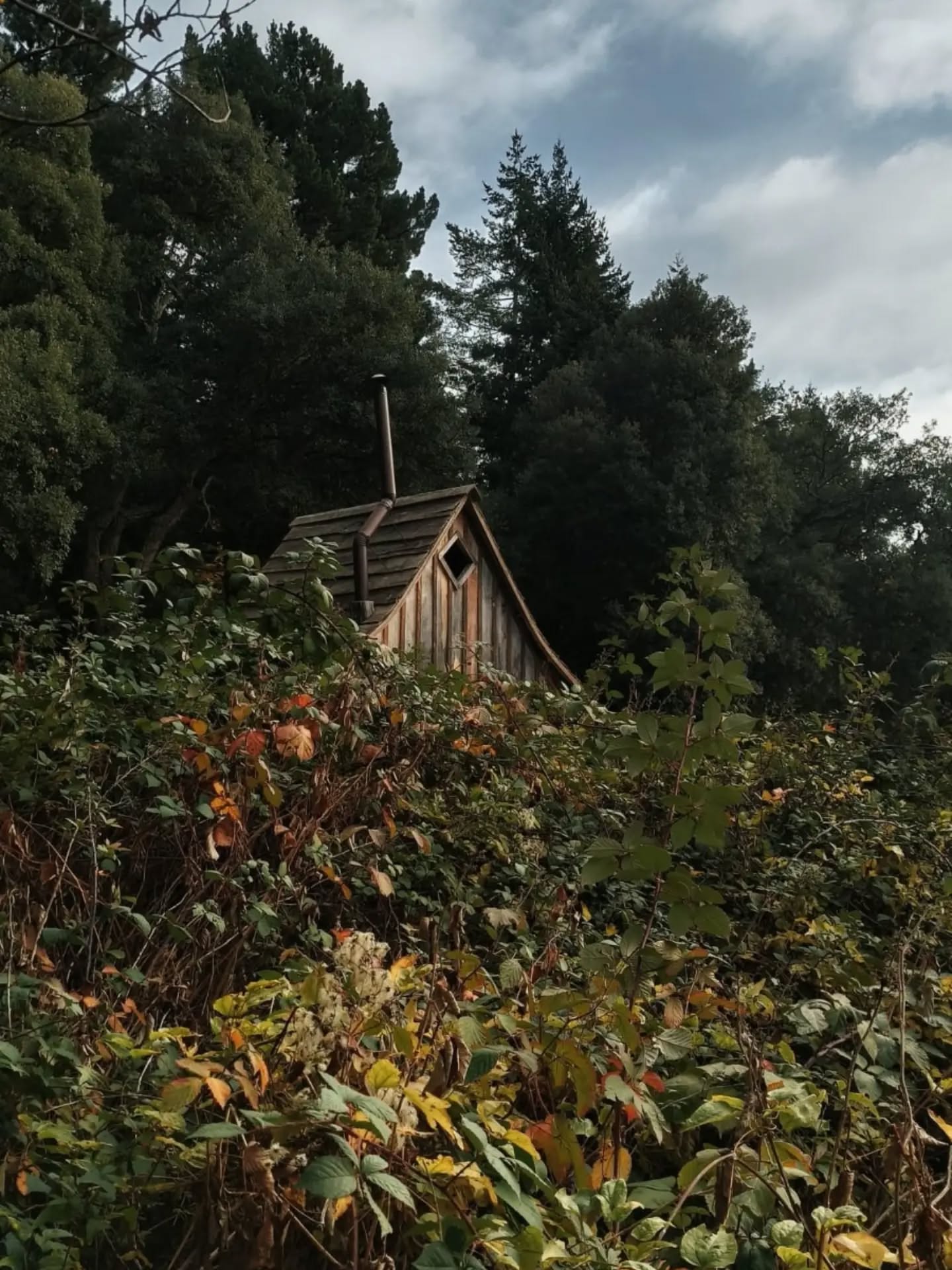 Descobreix el Camina descalç 👣
Un recorregut entre la natura per desconnectar, sentir el bosc i gaudir d’una experiència diferent.
#caminadescalç #laselvadelaventura #natura #bosc #experiencies