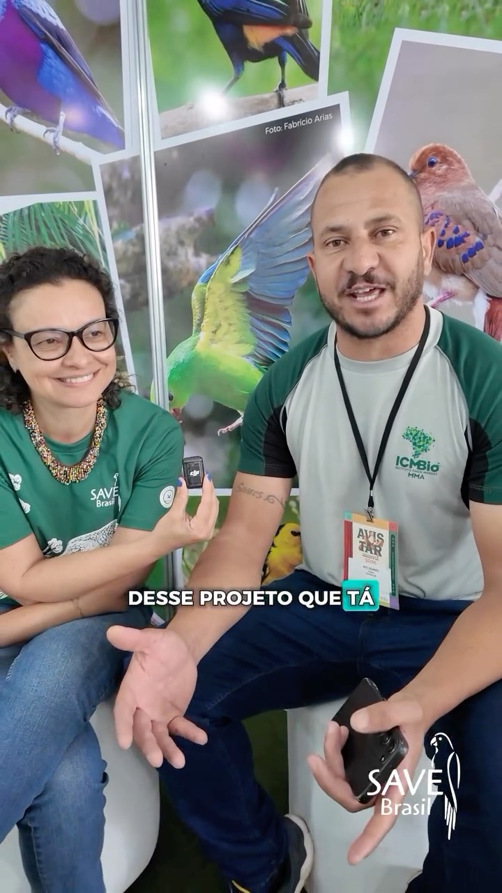A conservação só acontece, de fato, quando trabalhamos juntos.
Proteger a biodiversidade deve envolver pessoas, territórios, conhecimento e, principalmente, diálogo entre parceiros que buscam um mesmo propósito. É por isso que cada iniciativa da SAVE Brasil conta com a parcerias locais, que potencializam nosso alcance, como o @parquenacionaldalagoadopeixe.
Neste vídeo, falamos sobre o trabalho de conservação das aves limícolas desenvolvido com o apoio indispensável deste parceiro, e sobre como aproximação com a comunidade pode transformar a forma como cuidamos da natureza. 🐦💚
Porque proteger a biodiversidade também é reconhecer e valorizar quem vive, conhece e cuida do território todos os dias.
O Projeto Lagoa do Peixe é uma iniciativa da SAVE Brasil, por meio do Programa Aves Limícolas, realizada com o apoio do @birdlife.international , Bobolink Foundation, @naturecanada_ , @manometconservationsciences e a @whsrn_rhrap em parceria com as Prefeituras de Mostardas e Tavares/RS e o ICMBio- Parque Nacional da Lagoa do Peixe.
-
#SAVEBrasil #Conservação #Biodiversidade #Aves