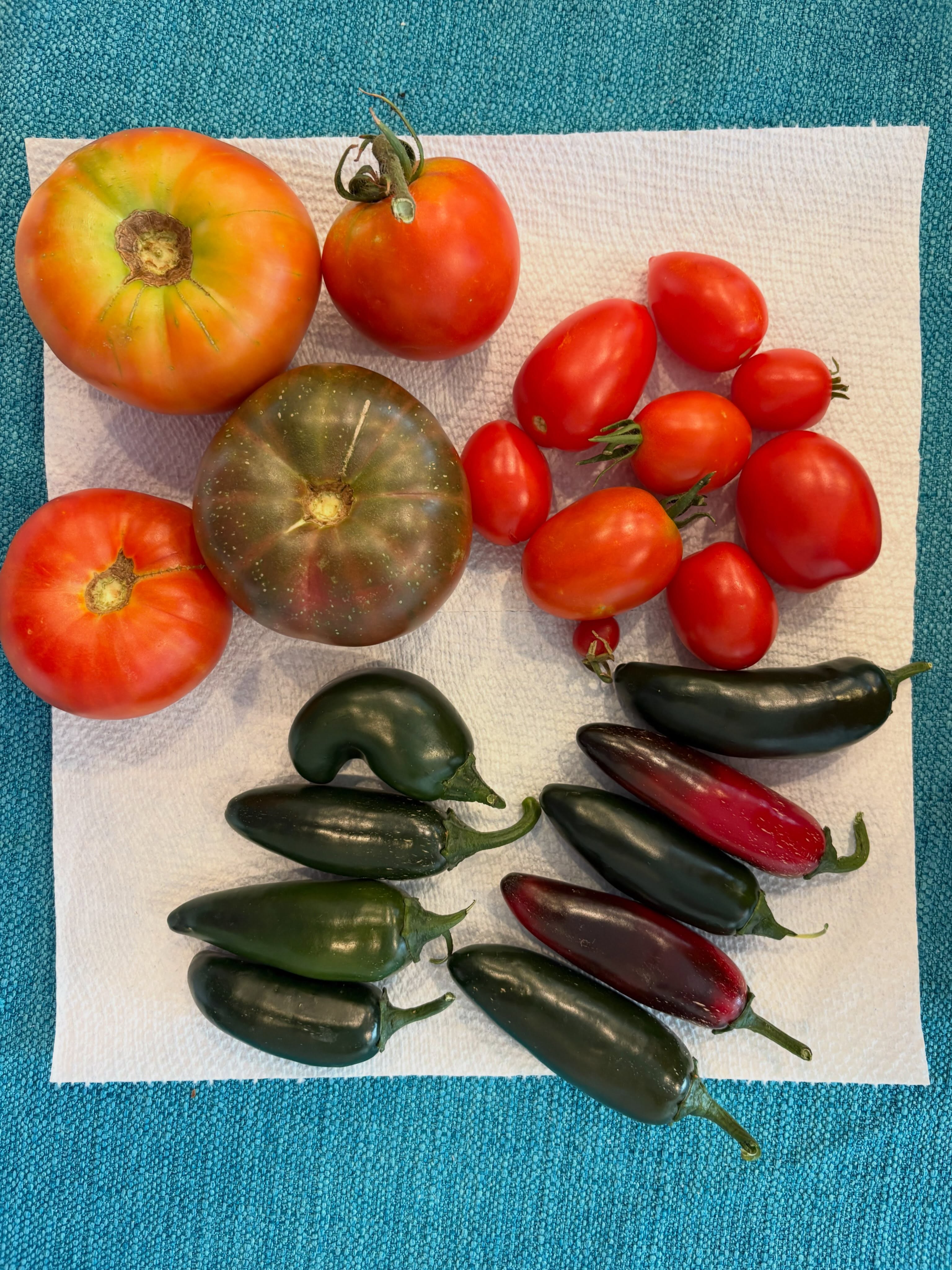 I am loving all the produce from our garden this year!