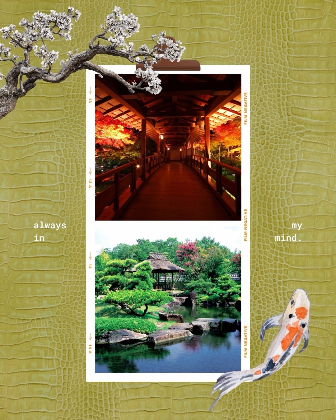 📪Located close by to Himeji Castle🌟
Visit this aesthetic💖 Japanese🇯🇵 garden in Hyogo. Koko-En is located on a former site of west residence of Himeji castle🏯, a world heritage site💫. Opened in 1992, it consists of 9 gardens. With its historical taste from the Edo-period⚔️, enjoy the scenery throughout the four seasons🤩. But especially the light ups✨ in the fall🍁 are breath-taking😯 (First image on pg.1).
Koko-En (好古園)/Himeji Castle Nishi-Oyashiki-ato Garden KOKO-EN (姫路城西尾邸跡庭園)
📍Honmachi 68, Himeji City,Hyogo
🌏himeji-machishin.jp/ryokka/kokoen
@kokoen_official
#kokoen #himeji #samurai #好古園 #好古園ライトアップ