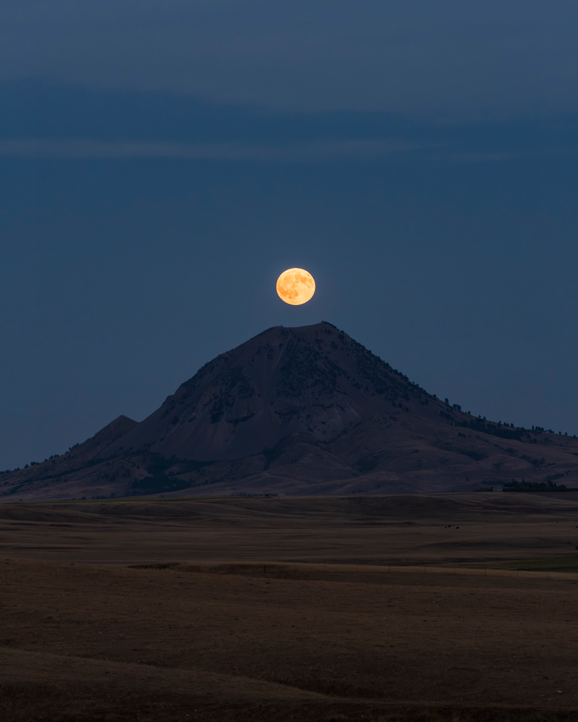 I’ve photographed Bear Butte more times than I can count, but watching the full moon rise behind it last night was something else. 🌕
I spent way too much time beforehand trying to figure out exactly where I needed to be standing for everything to line up, and to my surprise, it actually worked! 🙌🏽 Even when I was pretty sure the cloud coverage was going to swamp the entire plan.
Watching that moon slowly come up alongside Bear Butte right when I predicted it to was so satisfying and just unreal! Definitely worth the planning, the drive, and standing out there waiting for it.
I even discovered a couple of pleasantly unpredictable things to capture along the way!