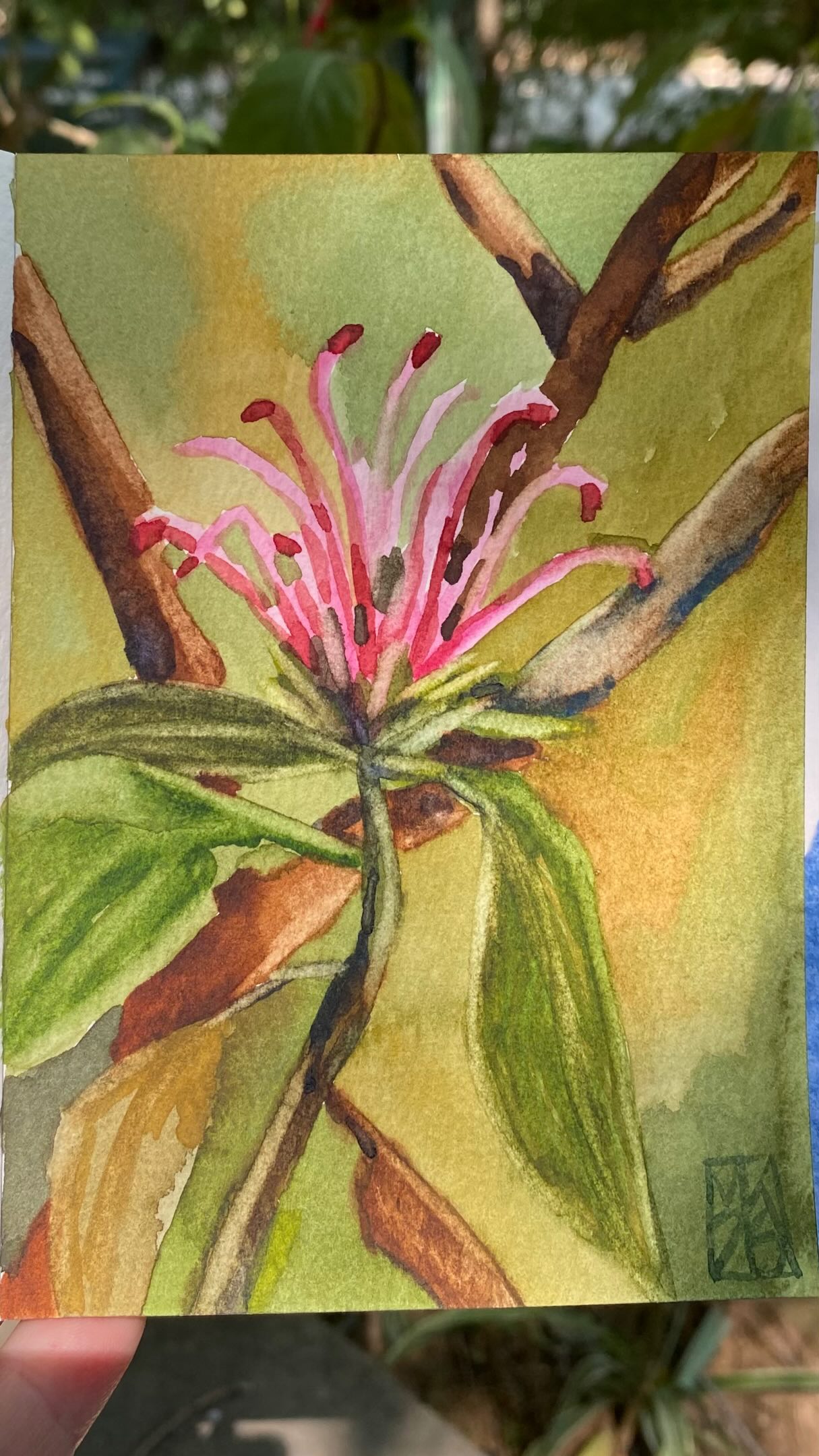 My postcard for Winsor & Newton’s @winsorandnewton Art Mail project.
Yesterday, during our painting class in the National Garden of Athens, I chose this beautiful pink flower and painted it directly from observation.
The Winsor & Newton postcard pad was kindly given to me by Art & Hobby, @artandhobbygreece which gave me the perfect opportunity to create my own contribution to the project.
The little watercolour will now travel to London to become part of Winsor & Newton’s Art Mail project.
Painting outdoors was such a lovely experience — looking closely at the plant, listening to the sounds around us and working with all the bright colours of the garden.
.
.
.
#theartflip #winsorandnewton #ζωγραφική #watercolorpaint