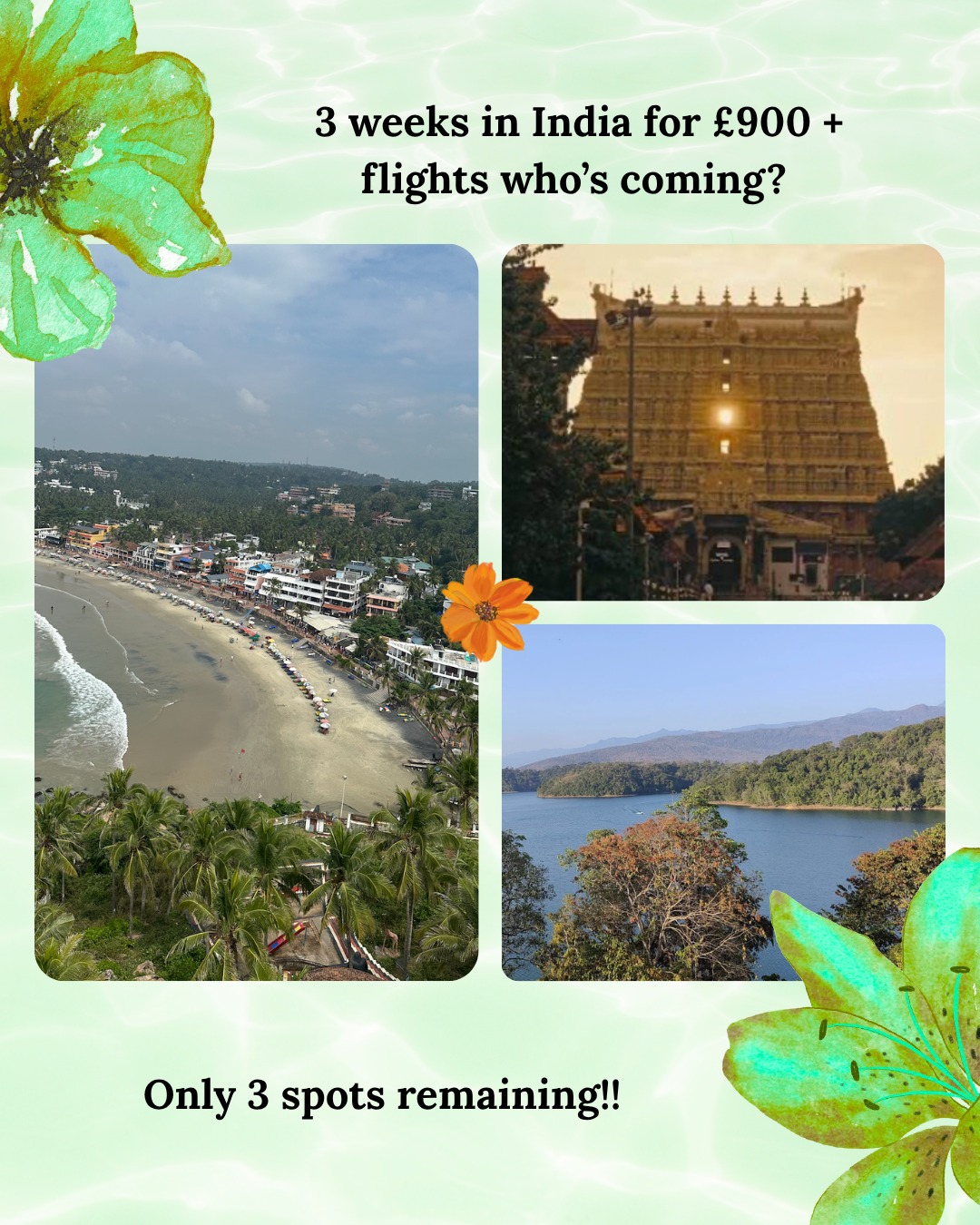 So we only have 3 spaces remaining for this India trip in Feb.
We stay practically on the beach.
When I say massage I mean a 2 hour complete Ayurveda treatment.
When I say yoga, that can be with me or one of the best yoga teachers I know.
When I say trip, India will change your life.
This is for people who have never been and always wanted to go to India but something has held them back. The package has been built around hold space for magic with safety at the forefront. Organised by me and my most trusted guys on the ground.
for more details or to book drop me a message.
#ayurveda #indian #travel #yoga