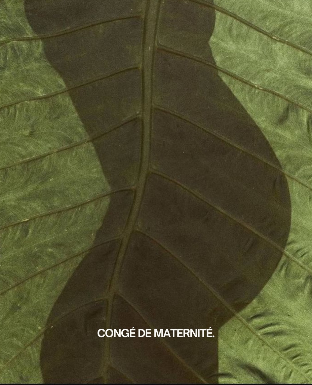 Un petit mot avant mon congé de maternité…
Septembre sera le dernier mois de consultations en naturopathie avant une petite pause pour accueillir bébé.
Il reste quelques disponibilités pour faire le point sur votre santé, ajuster votre routine et repartir sur de bonnes bases pour l’automne.
Et si Maison Luce fait partie de votre quotidien, pensez aussi à prévoir votre restock avant la fin septembre 🌿 Les délais pourraient être un peu plus longs pendant mon absence.
Merci d’être là, de votre confiance et de faire vivre Maison Luce. 🤍
Annabel xx