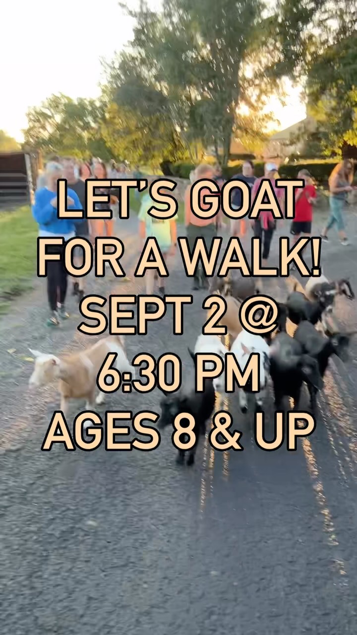 UPDATE: 2๏ธโฃ SPOTS LEFT!
LETโS GOAT FOR A WALK on Wednesday! ๐ Hoof it over to Boalsburg on Sept 2 for a walk around the farm with the goats and goat time in the barn.
๐
Sept 2 | 6:30-7:30 PM
๐ Ages 8+*
๐ต $15/person
๐ Nittany Meadow Farm, Boalsburg
๐๏ธ Pre-registration required: bit.ly/goat-walk
*Ages 8โ17 must be accompanied by a registered adult. Each person must be registered to attend the walk.
#goats #cuteanimals #psu #centrecounty #statecollege