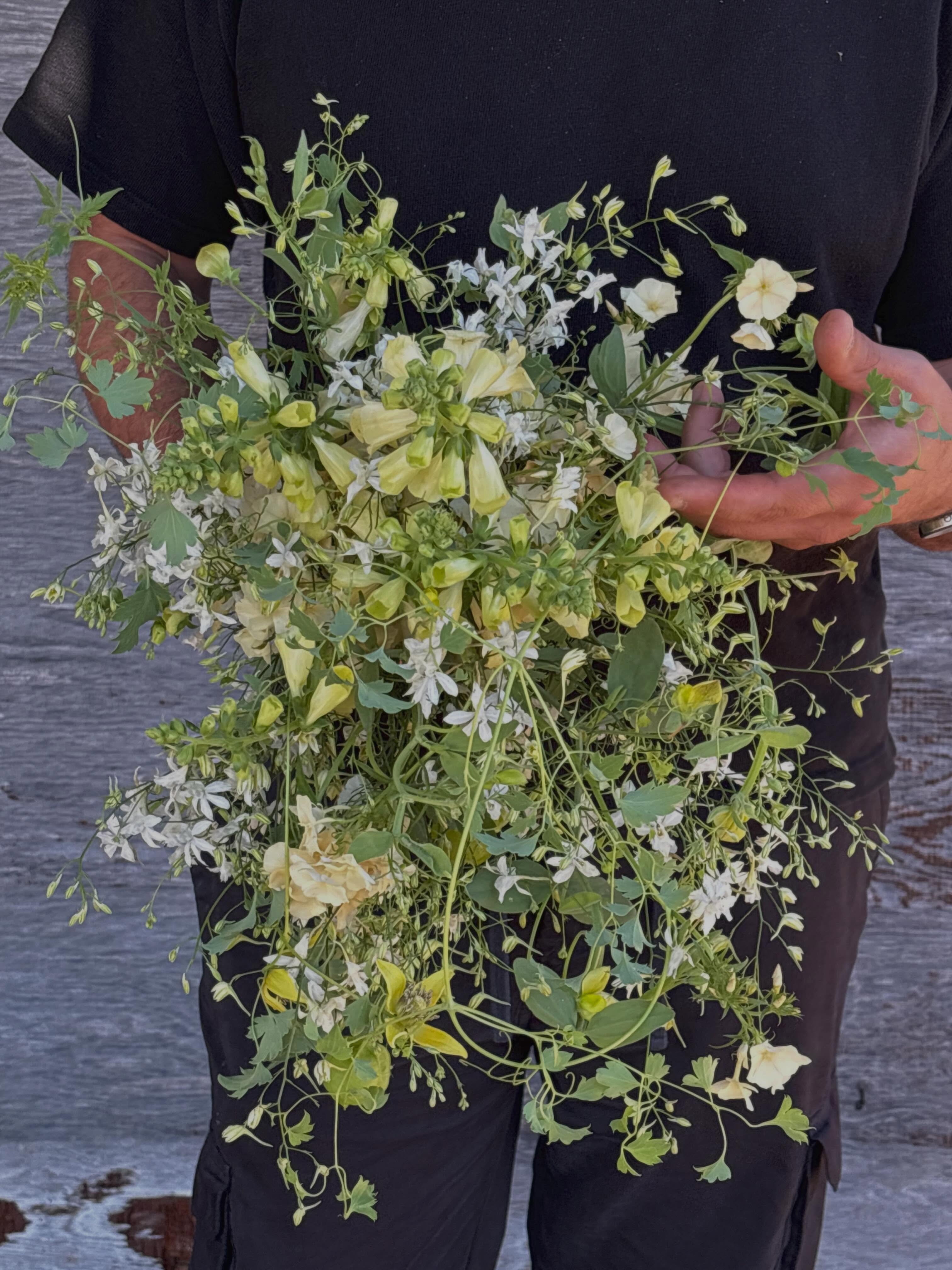 My bouquet sample for Land & Sea retreat! Give me all the textures and the thinnest stems! Inspired to play with @maxgilldesign clematis (fucking gold!!) and went with yellow phlox and foxglove as my “focal” blooms and accented with delphinium white cloud cus why not. Thanks Kare for the pics/vids 😘 @flowers_by_karis