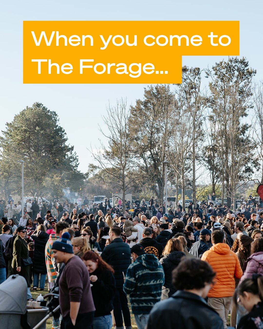 When you come to The Forage, you’re supporting so much more than an event.
The Forage is a whole local ecosystem — food and drink vendors, musicians, creatives, producers, suppliers and small businesses all benefiting from what happens in those seven hours.
And the impact goes well beyond event day. It’s exposure, new customers, cash flow, connections, . opportunities and people discovering local businesses they may never have found otherwise.
The impact is bigger than you might realise but don’t just take our word for it. Here’s what our vendors have to say about the impact The Forage has on their businesses.
Thank you for supporting and be part of it 🙏🏼
📷 @collectionsfromhim
#theforage #supportlocalcanberra #streetfoodfestival