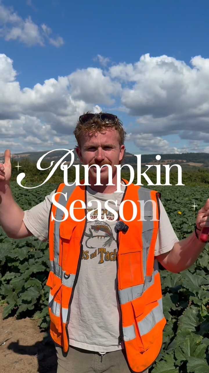 🌻 As one season comes to an end, another begins! 🎃
We’ve had an absolute blast over the past month welcoming you all to our Sunflower Festival. Thank you to everyone who came along, made memories, and enjoyed the sunshine with us!
Now, it’s time to embrace autumn as we welcome our Pumpkin Festival!
Opening from 2nd October, we can’t wait to welcome you back for even more seasonal fun, family days out and pumpkin-filled adventures!
🎟️ Get your tickets at clearwellfarm.co.uk
#cardiff #thingstodoincardiff #southwales #sunflowerfestival #explore