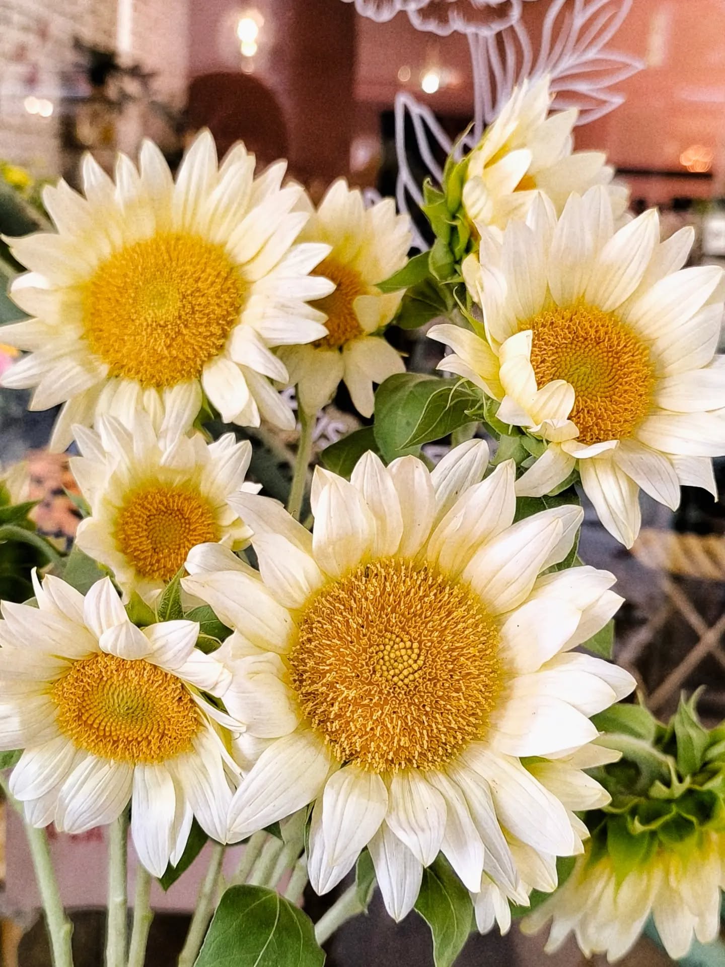 》Le Jardin de Lucette, Artisanes Fleuristes, 34 rue de la Concorde, 31000 Toulouse, du mardi au dimanche.