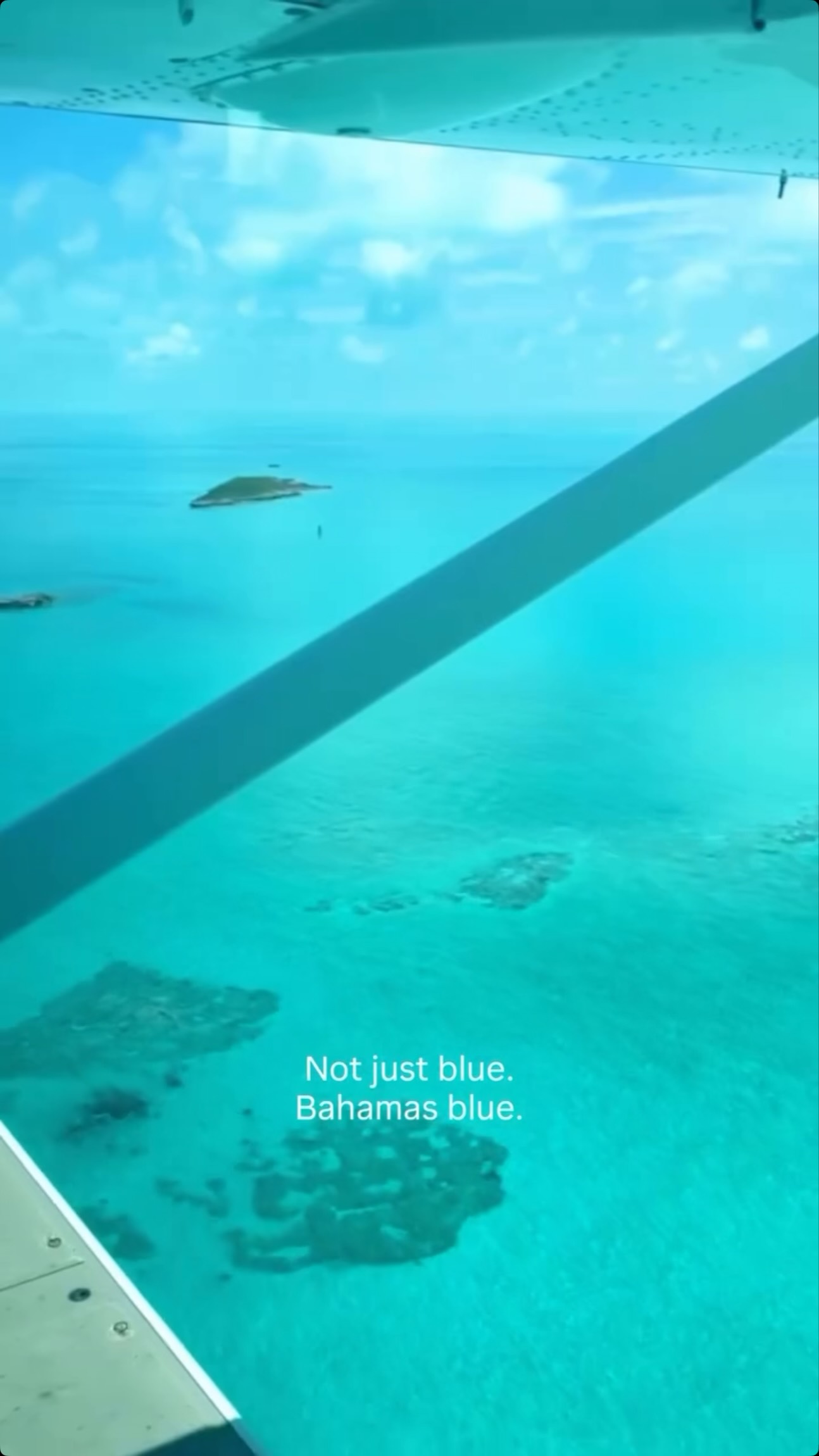 Immersed in blue!
#blue
#bahamas #greenturtlecay #abaco
