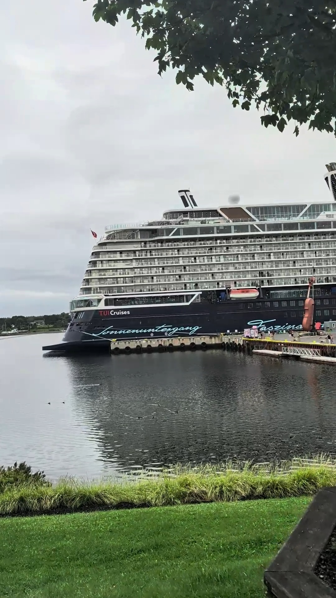 🚢 WELCOME TO CAPE BRETON, MEIN SCHIFF 1! 🍁
What a sight on the Sydney waterfront today!
We’re excited to welcome Mein Schiff 1 and her 2,894 passengers and approximately 1,000 crew members to the Port of Sydney and beautiful Cape Breton Island!
September is here, our busy fall cruise season is underway, and the waterfront is alive with visitors from around the world. 🌎❤️
To everyone arriving today to Sydney, Cape Breton, all the way from Germany— Willkommen!
We hope you enjoy every minute of your time on our beautiful island and experience some of that famous Cape Breton hospitality.
And to our locals, come on down! 👋 Check out the ship, enjoy the waterfront, and explore the Cape Breton Beard Factory!
Whether you’re looking for the perfect Cape Breton-inspired beard care, some great music to jam to, own a genuine leather bag, or simply a unique locally made gift to take home from the island , we’ve got something waiting for you.
Every local purchase makes a difference.
⚓ Shop Local. Support Local. Celebrate Cape Breton Island. ❤️
#cbbeardfactory #SydneyNS #PortOfSydney #MeinSchiff1 #TUICruises #VisitCapeBreton #ShopLocal #SupportLocal #NovaScotia #MadeinCanada