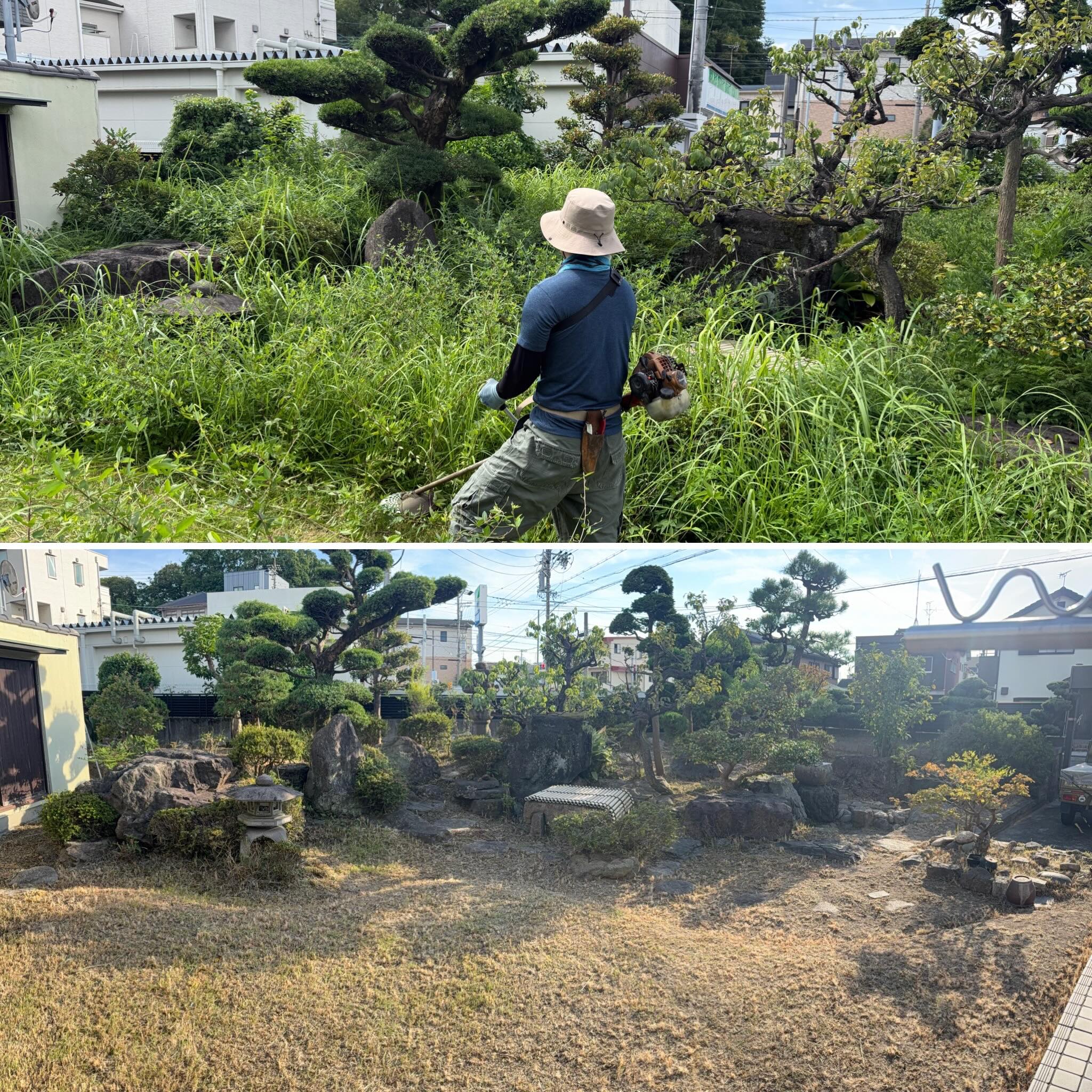 あっという間に9月に入り、草木の伸びるスピードも緩やかになってきました。夏の終わりから秋は害虫が再び活性化します。この時期に剪定、除草をして風
