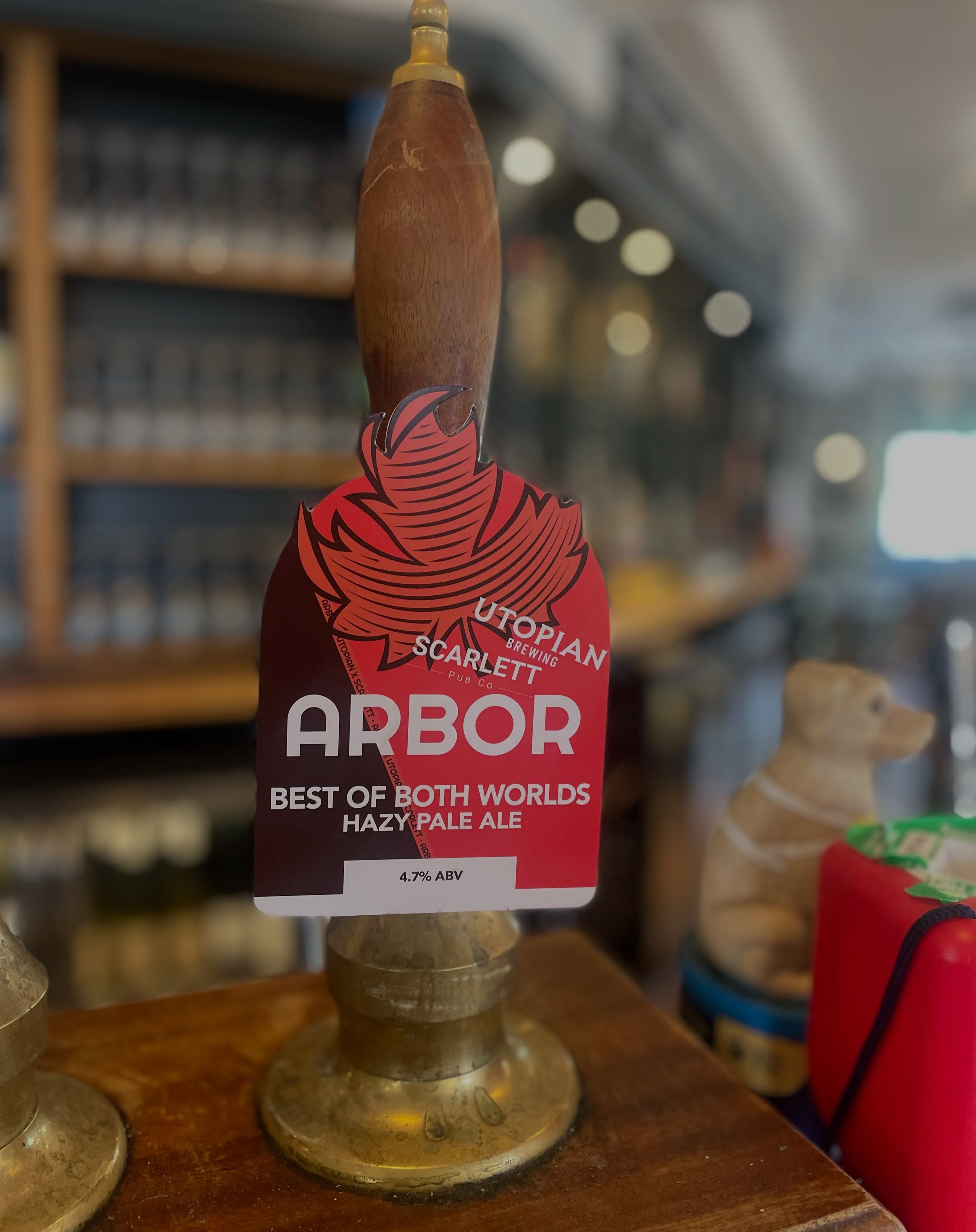 ✨ ALES OF THE WEEK ✨
- Best of both worlds ~ Hazy Pale Ale
By Arbor @arbor.ales
- Independence
By Bristol Beer Factory @bristolbeerfactory
#bristolales #bristolbeer #bristollocalbeer #goodpubbristol