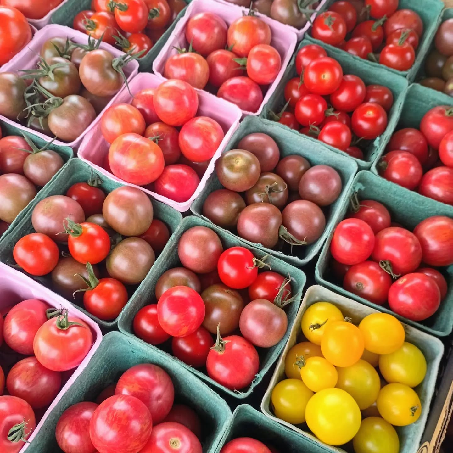 Lake Linden Farmers Market is open tonight from 3–6 PM down by the lake. Stop in for fresh produce, baked goods, handmade items, and all the local goodness our vendors bring each week.
