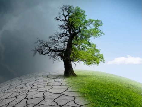 💚 Vv + Vale 💙
A Vv- Inteligência Humanitária realizou esta semana sua Trilha de Formação sobre Crises Humanitárias e Emergências Climáticas com a Vale, uma das maiores empresas do Brasil e do mundo. E foi FANTÁSTICO!
Esse nosso projeto foi desenvolvido para fortalecer conhecimentos e competências essenciais para a atuação voluntária em cenários de crise, ampliando a capacidade de colaboradores de empresas em gerar impacto positivo e contribuir de forma ainda mais efetiva.
Nessa jornada de aprendizado, a Vv, com sua experiência em inteligência humanitária, mobilização e articulação de recursos, está levando para a Vale todo o conhecimento necessário para quem quer fazer a diferença de verdade!
E vamos pra mais! 💙🩵💚🤍