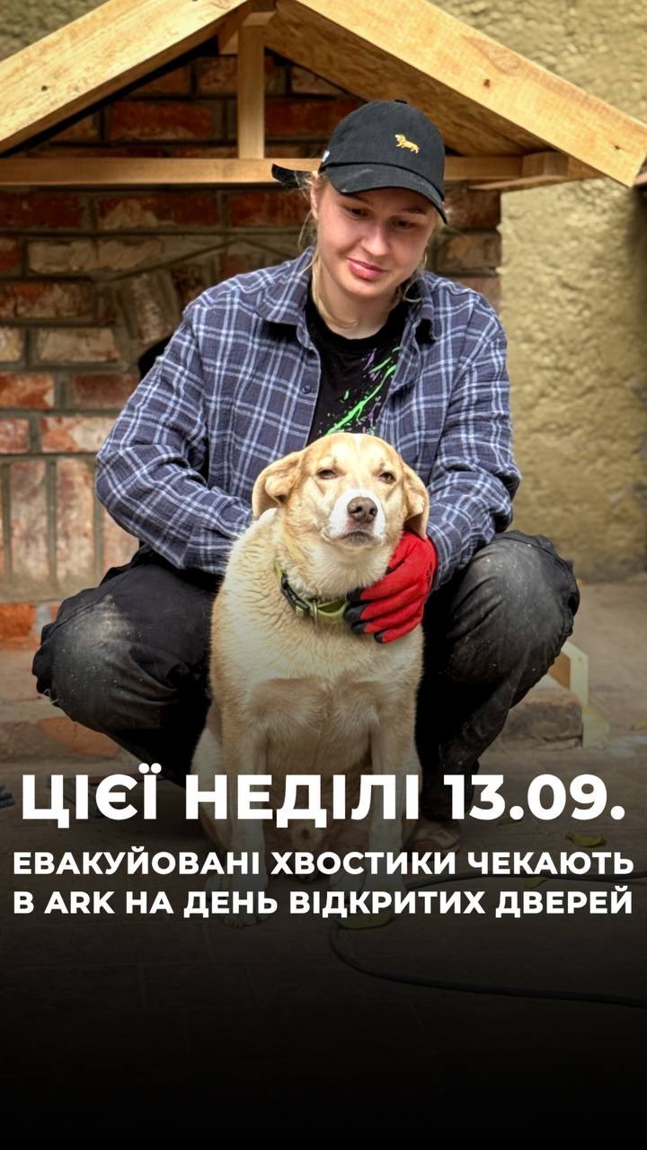 Ось так евакуйовані песики чекають на вас цієї неділі 13.09 на Дні Відкритих дверей у нас в ARK! (⬇️ENG)
Це все тварини, які мали дім, які звикли жити в сімʼї, з людиною. Тому ми запрошуємо вас стати їхнім другом на годину – на час акції – або ж назавжди :)
Запрошуємо вас погуляти з ними, поспілкуватися, погратися.
Минулого разу наших хвостиків дуже зворушила пара молодят. Євгенія та Данило на день свого весілля попросили гостей принести корм для тварин у якості подарунків.
І всі ці подарунки вони привезли до наших евакуйованих песиків в ARK на День відкритих дверей!
А також запрошуємо вас долучитися до створення гарних умов для песиків після евакуації. Зараз допомагаємо створювати для них ось такі гарні будиночки у вольєрах
На найближчі рази дуже потрібна буде допомога чоловіків!
Чекаємо вас цієї неділі 13.09 о 10:30 в нашому реабілітаційному центрі ARK.
Долучитися до вигулу / всиновити собачку:
+380951021335 (WhatsApp / Viber / Telegram)
Допомогти у створенні будиночків:
+380502766975 (WhatsApp / Viber / Telegram)
Зробити донат можна за посиланням у біо чи в коментарях 👉
This is how our evacuated dogs are waiting to meet you this Sunday, September 13, at our Open Day at ARK! 🐾
All of these dogs had homes. They were used to living with families, with people by their side. That’s why we invite you to become their friend — for an hour, during the event, or foreve