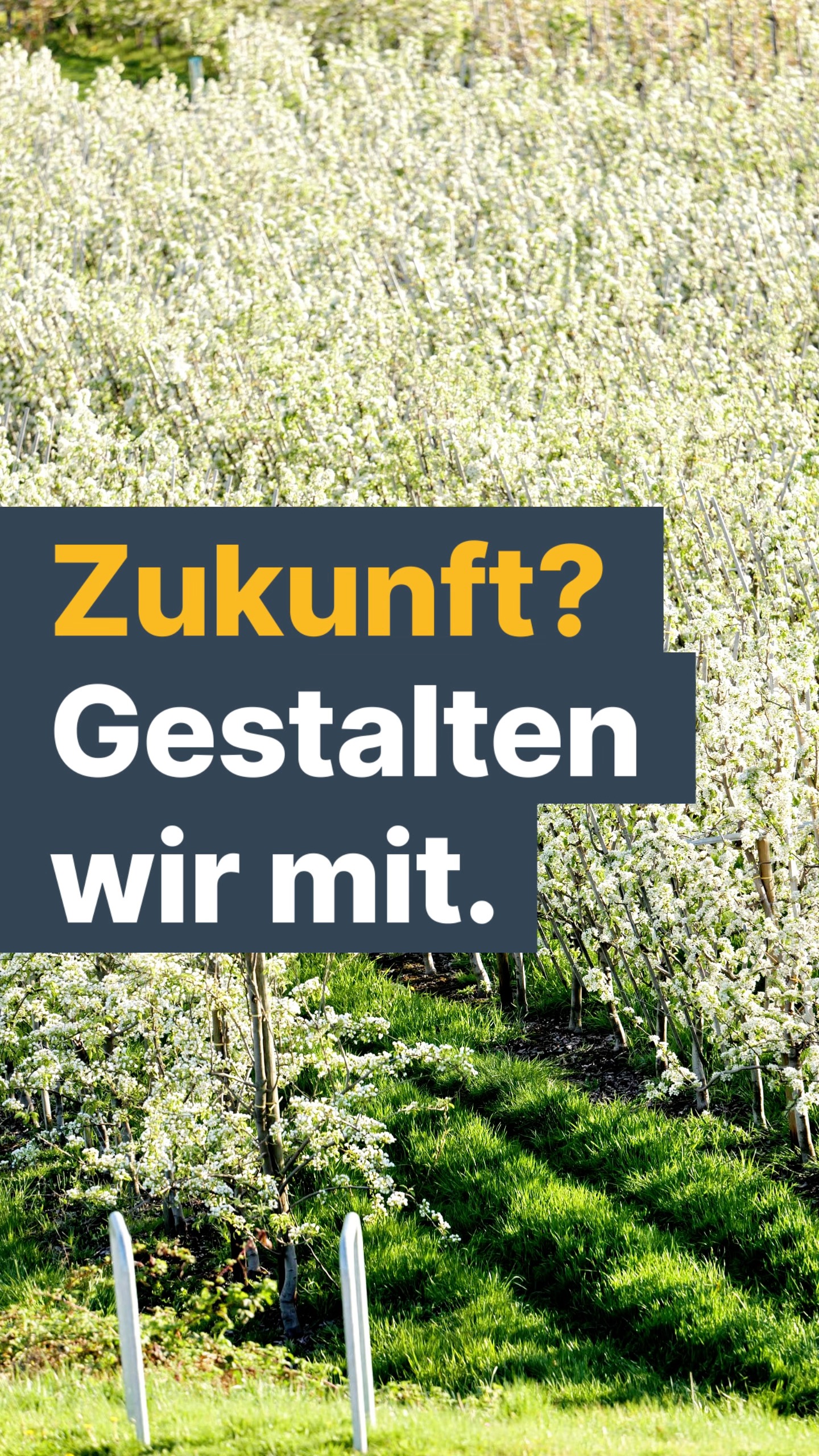 Zukunft? Gestalten wir mit.
Wir sind jung, wir leben hier, arbeiten hier und wollen Verantwortung dafür übernehmen, wie Jork sich in den kommenden Jahren entwickelt.
Was uns wichtig ist? Gute Bildung und moderne Schulen. Eine starke Wirtschaft mit guten Arbeitsplätzen und Perspektiven vor Ort. Erneuerbare Energien mit einem vernünftigen Plan. Bezahlbarer Wohnraum und ein Jork, das auch morgen lebenswert bleibt.
Und natürlich wollen wir, dass junge Menschen selbst stärker mitreden und mitgestalten können – mit einem Jugendforum, Treffpunkten und mehr Möglichkeiten für Praktika und FSJ.
Wir haben Lust, uns einzumischen, Ideen einzubringen und Verantwortung zu übernehmen. Denn unsere Zukunft beginnt genau hier.
Unsere Ideen. Unsere Zukunft. Unser Jork.
Am 13. September: Ganz klar Jork.