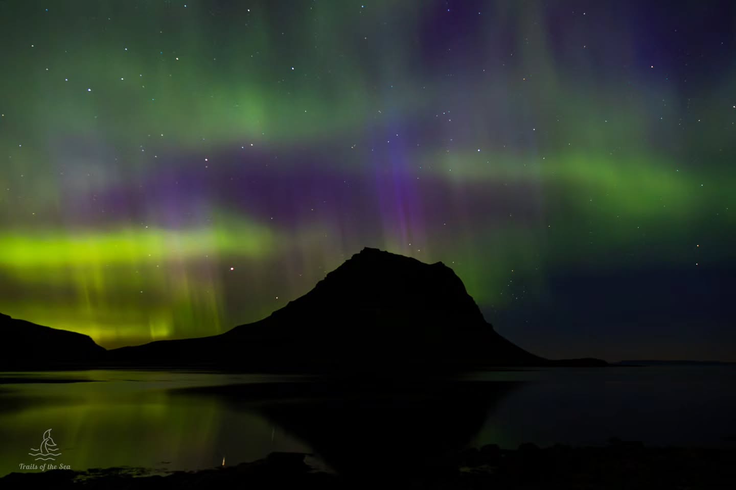 Monday night's aurora was absolutely insane! The sky was on fire!😍
Iceland, I absolutely love you! Nature never ceases to amaze me.
#northernlights #auroraborealis #iceland #kirkjufell #snæfellsnes