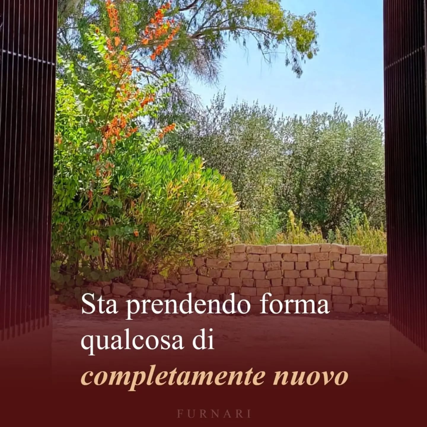Una nuova casa per un'antica passione.
#roma #vinifurnari #winelovers🍷 #lazioigt #romadoc